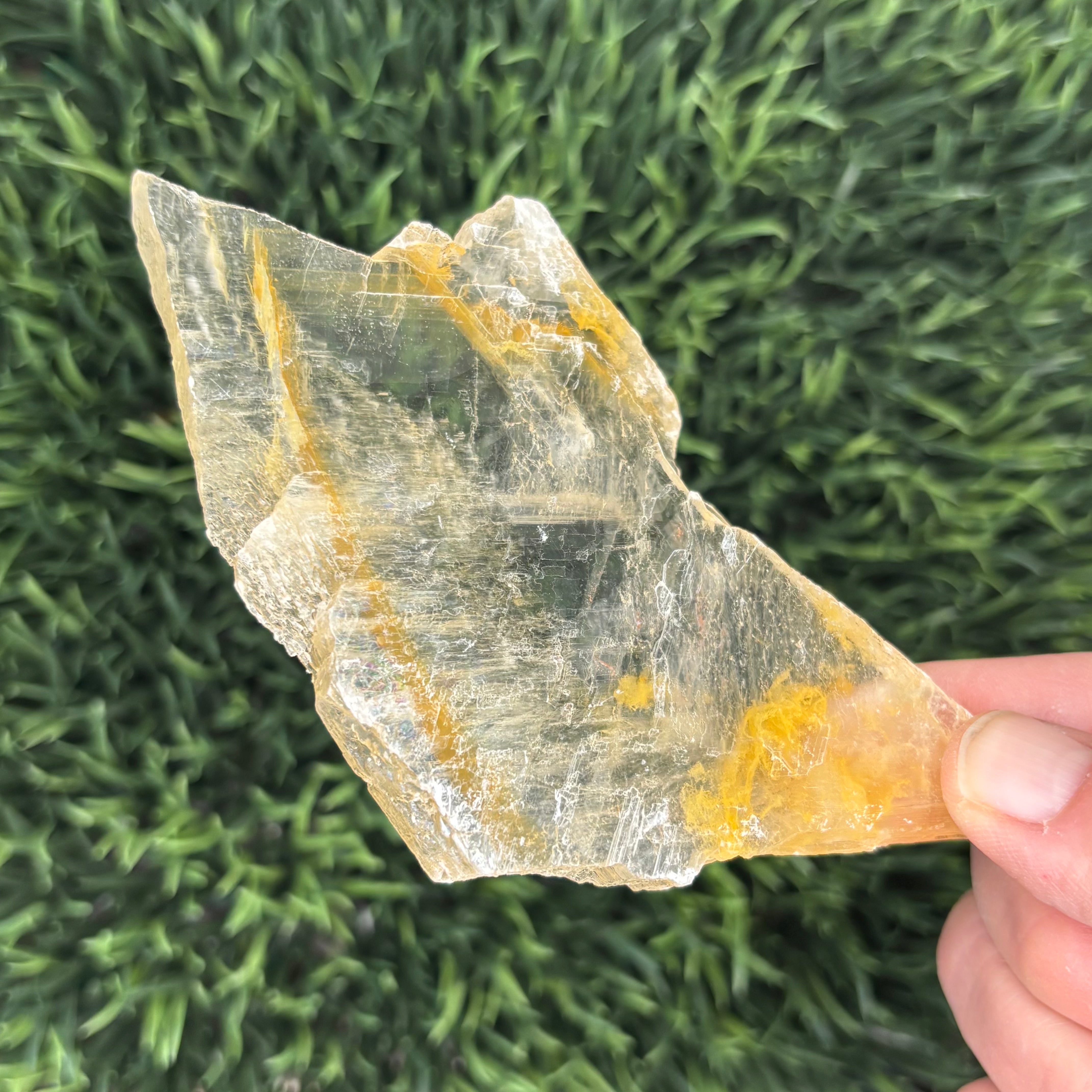 Golden Selenite Window - 632