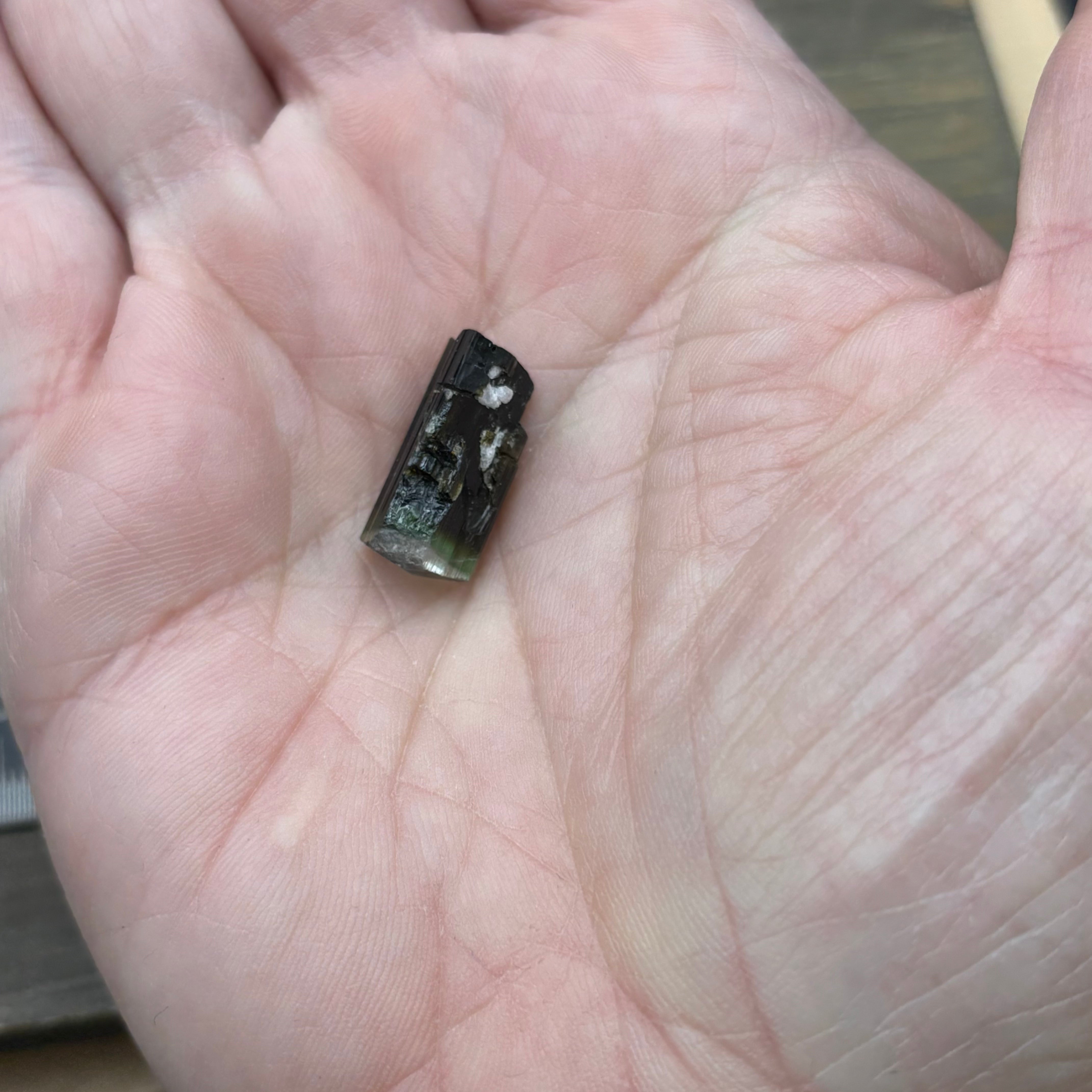 Green Tourmaline Crystal - 241