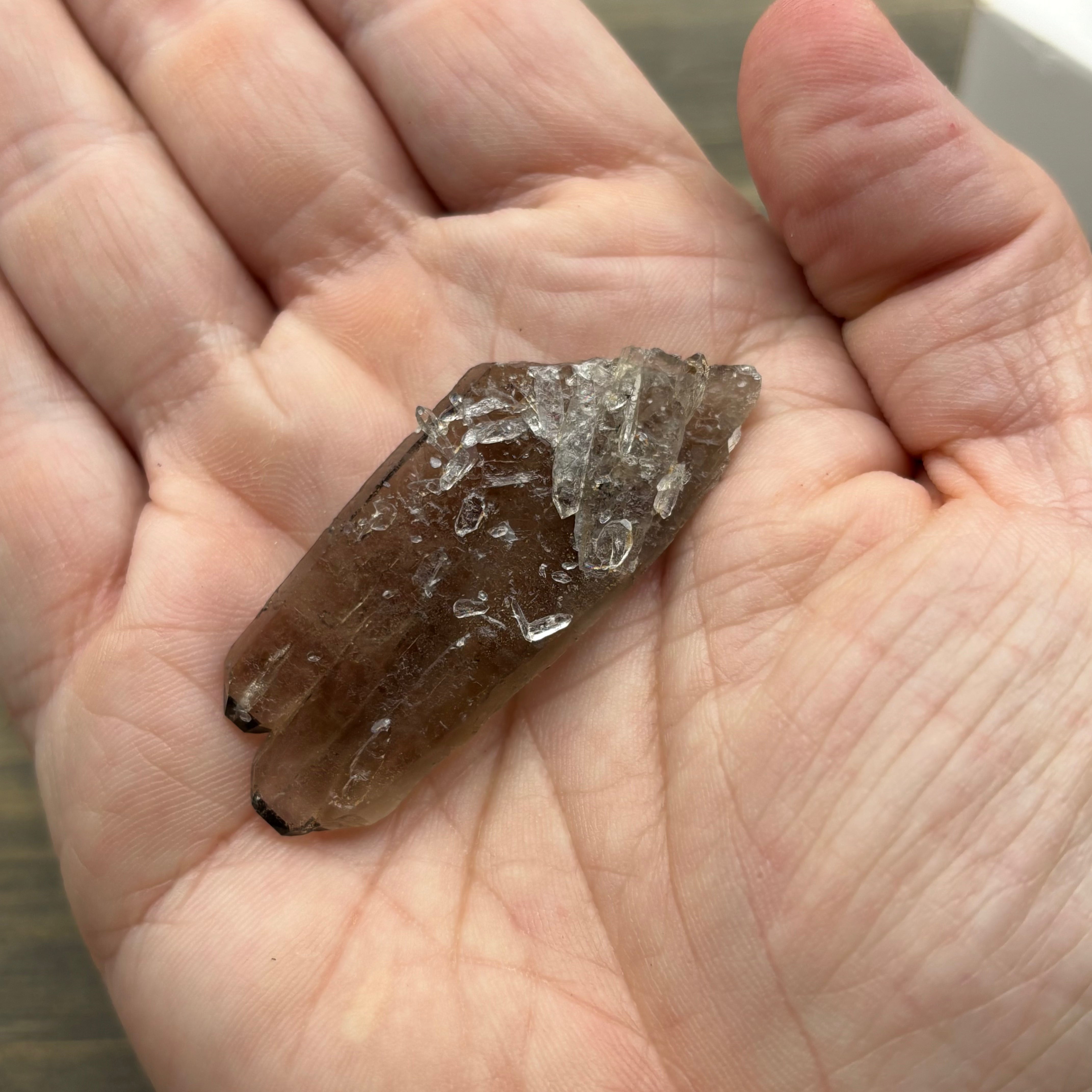 Dark Smoky Quartz Crystal - 014