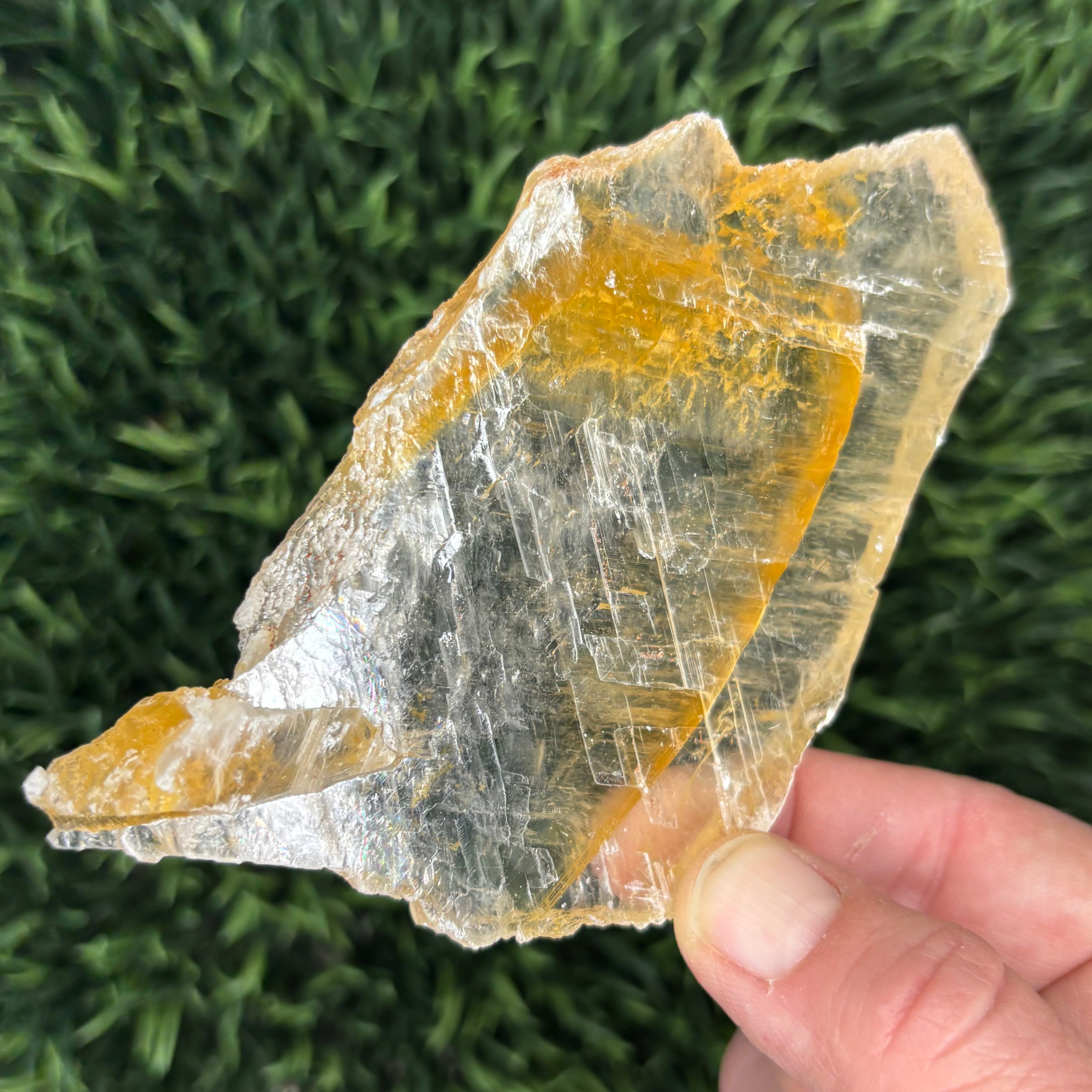 Golden Selenite Window - 634