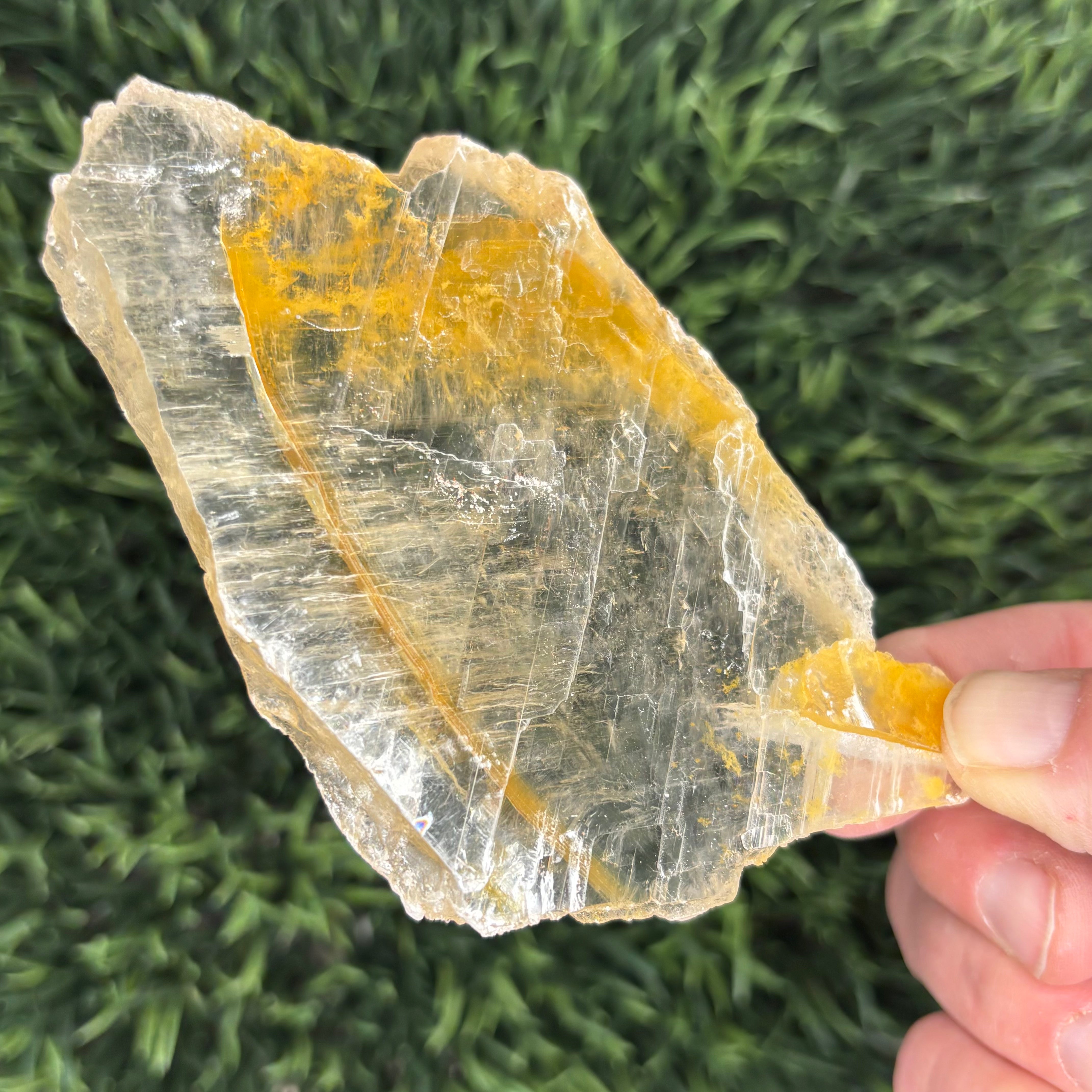 Golden Selenite Window - 634
