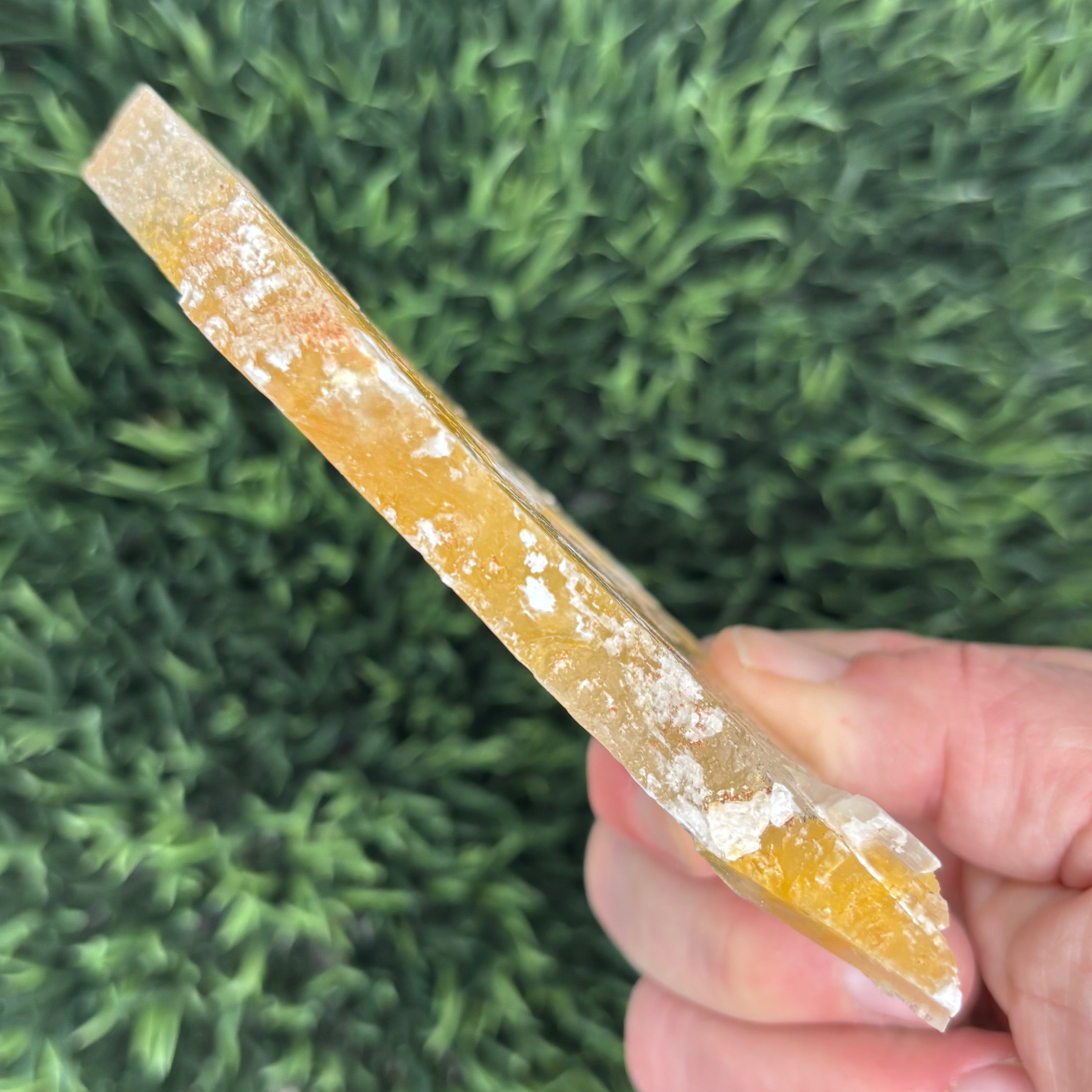 Golden Selenite Window - 634