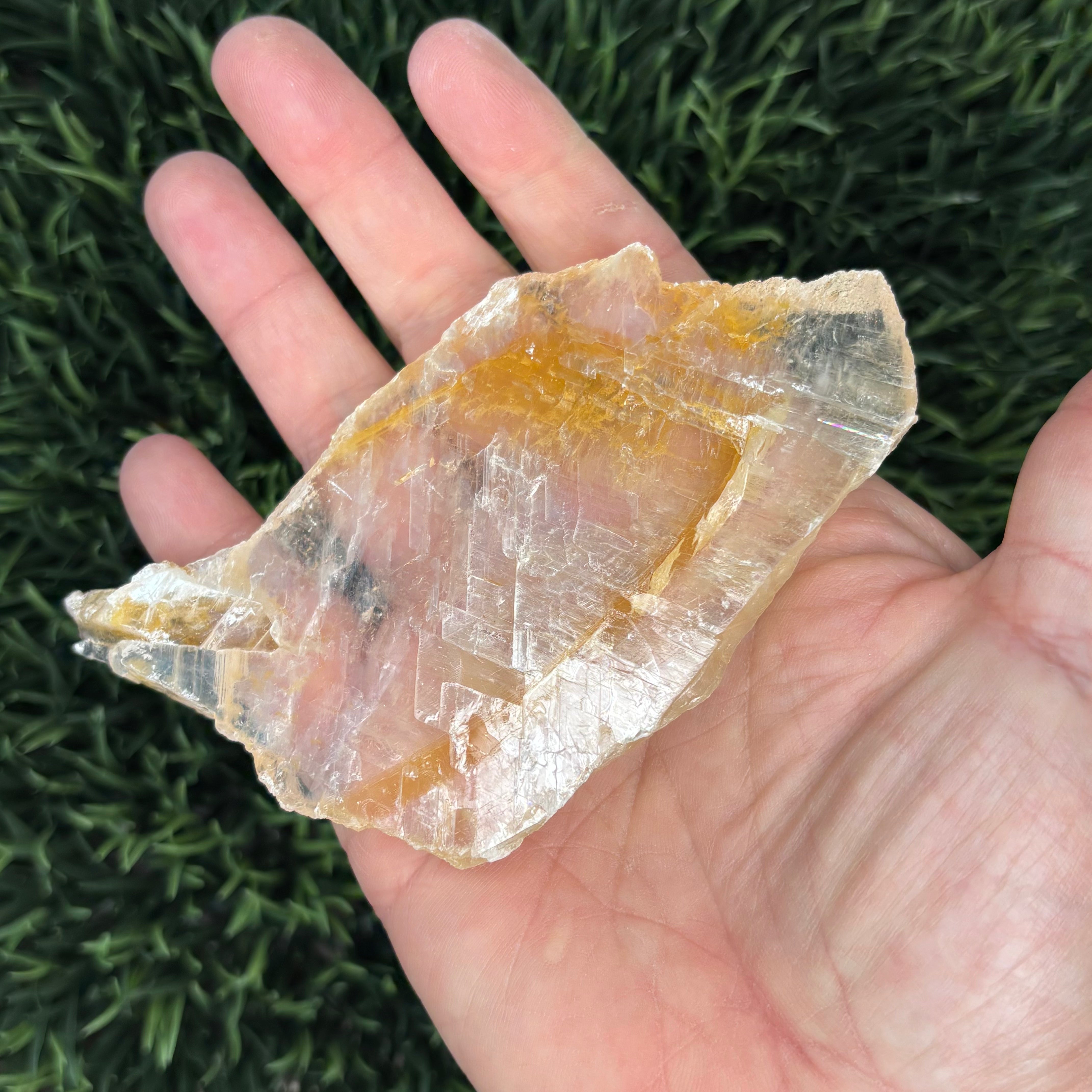 Golden Selenite Window - 634
