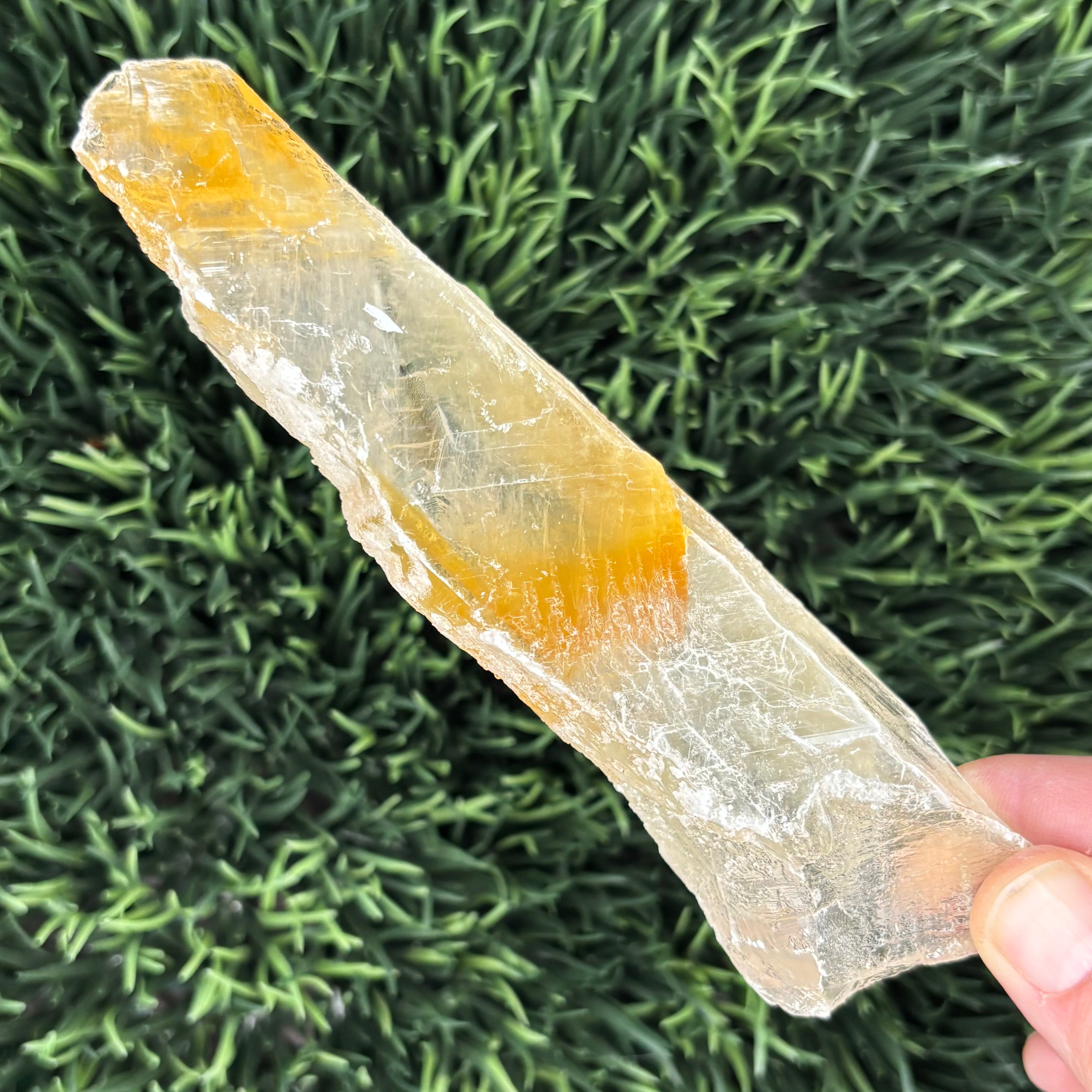 Golden Selenite Window - 639