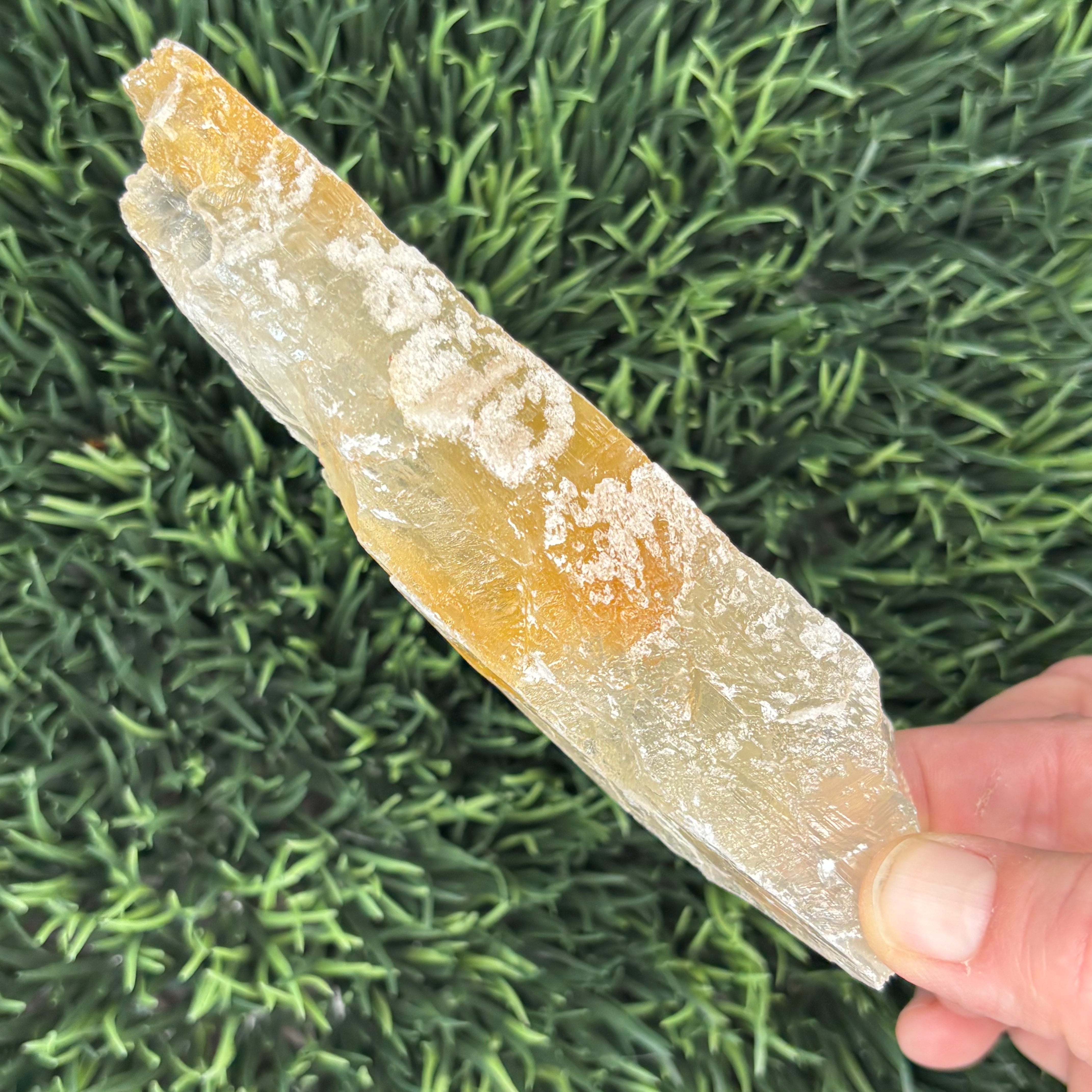 Golden Selenite Window - 639