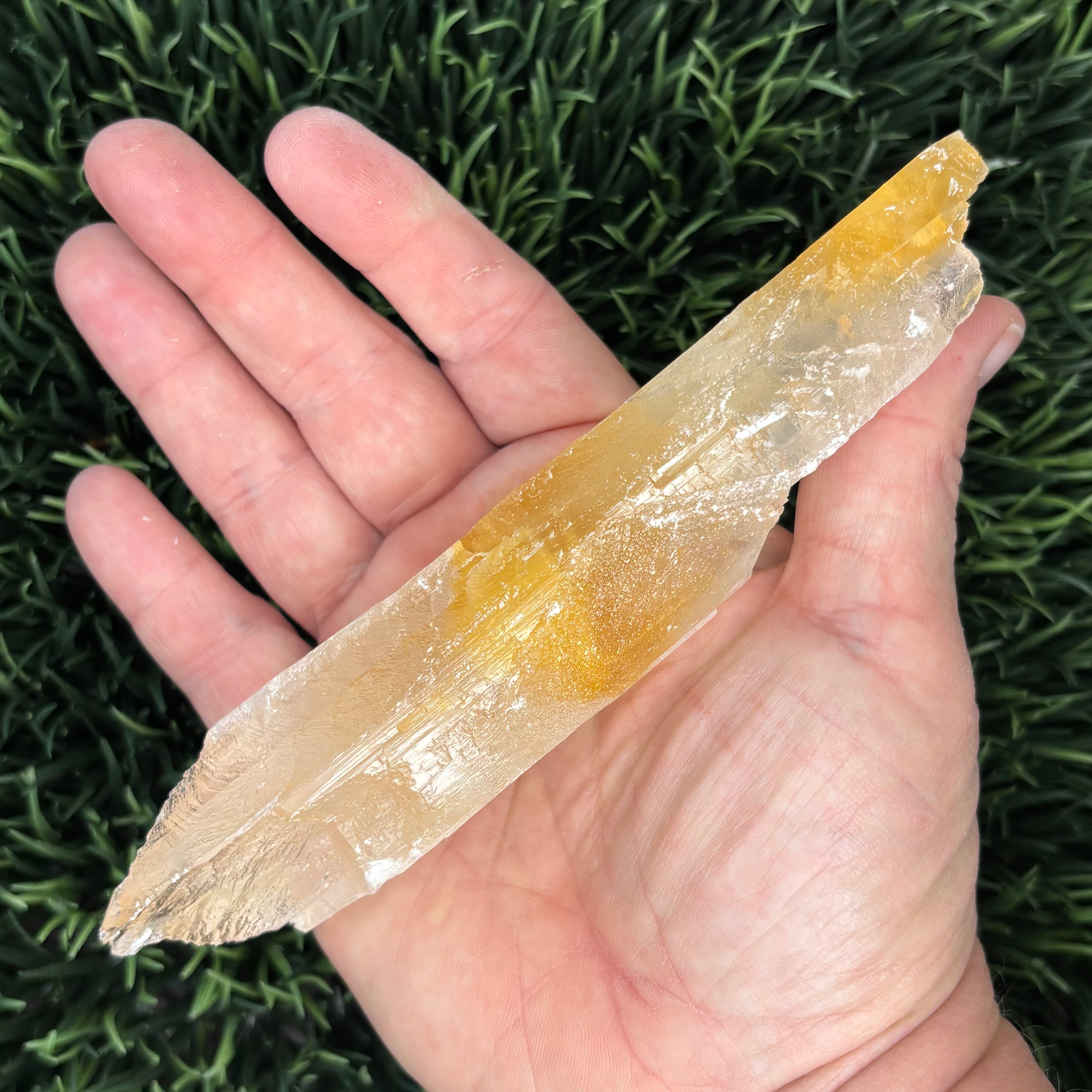 Golden Selenite Window - 639