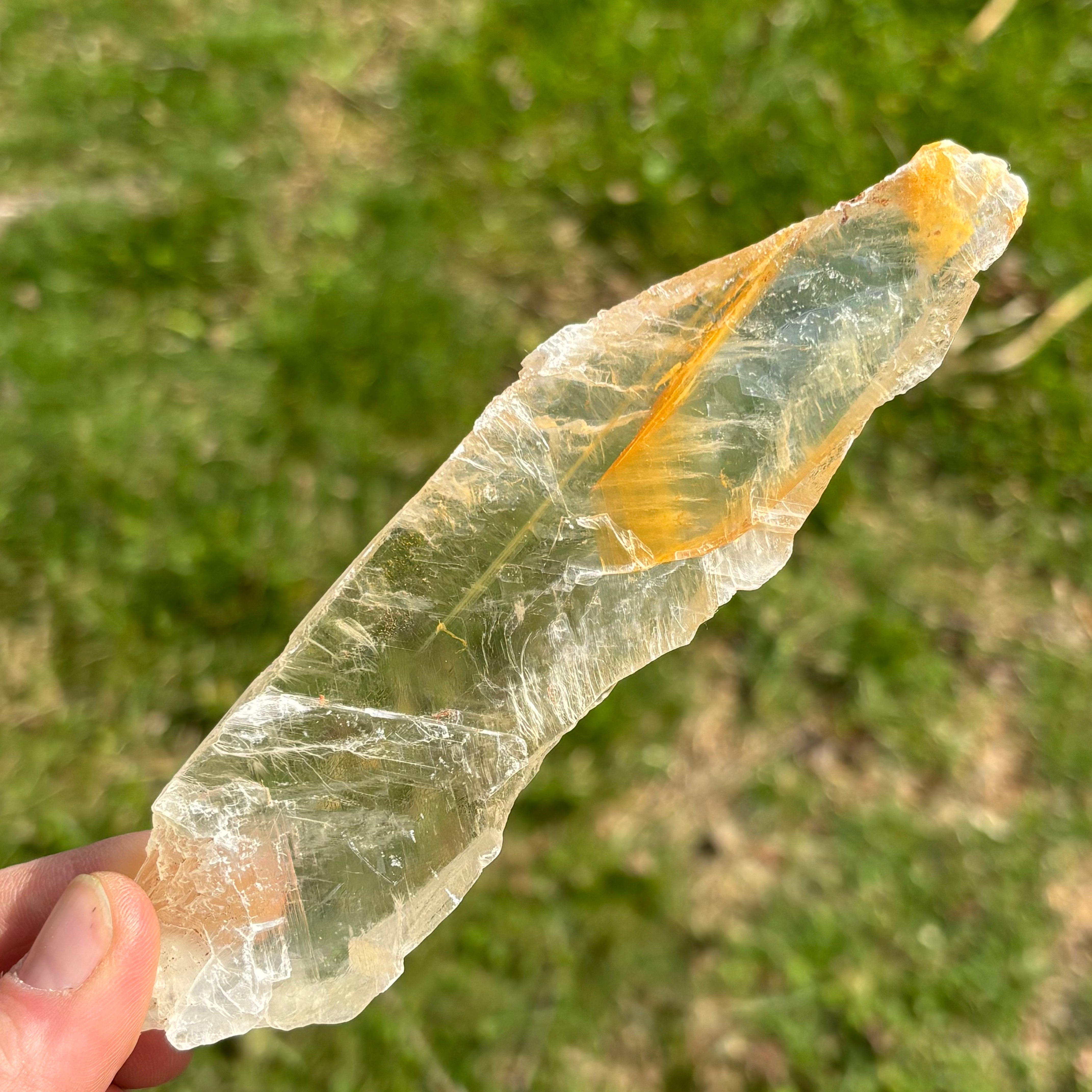 Golden Selenite Window - 641