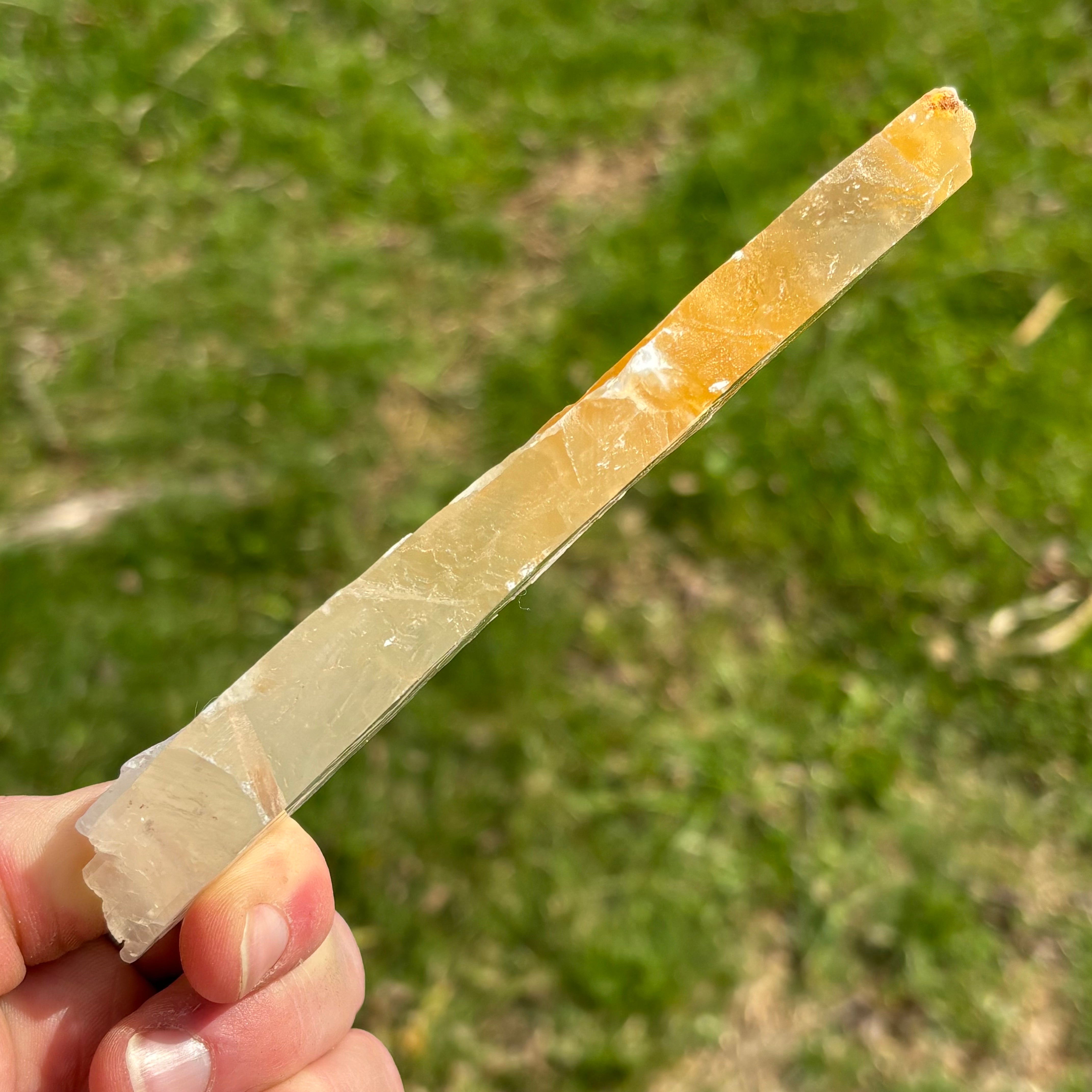 Golden Selenite Window - 641