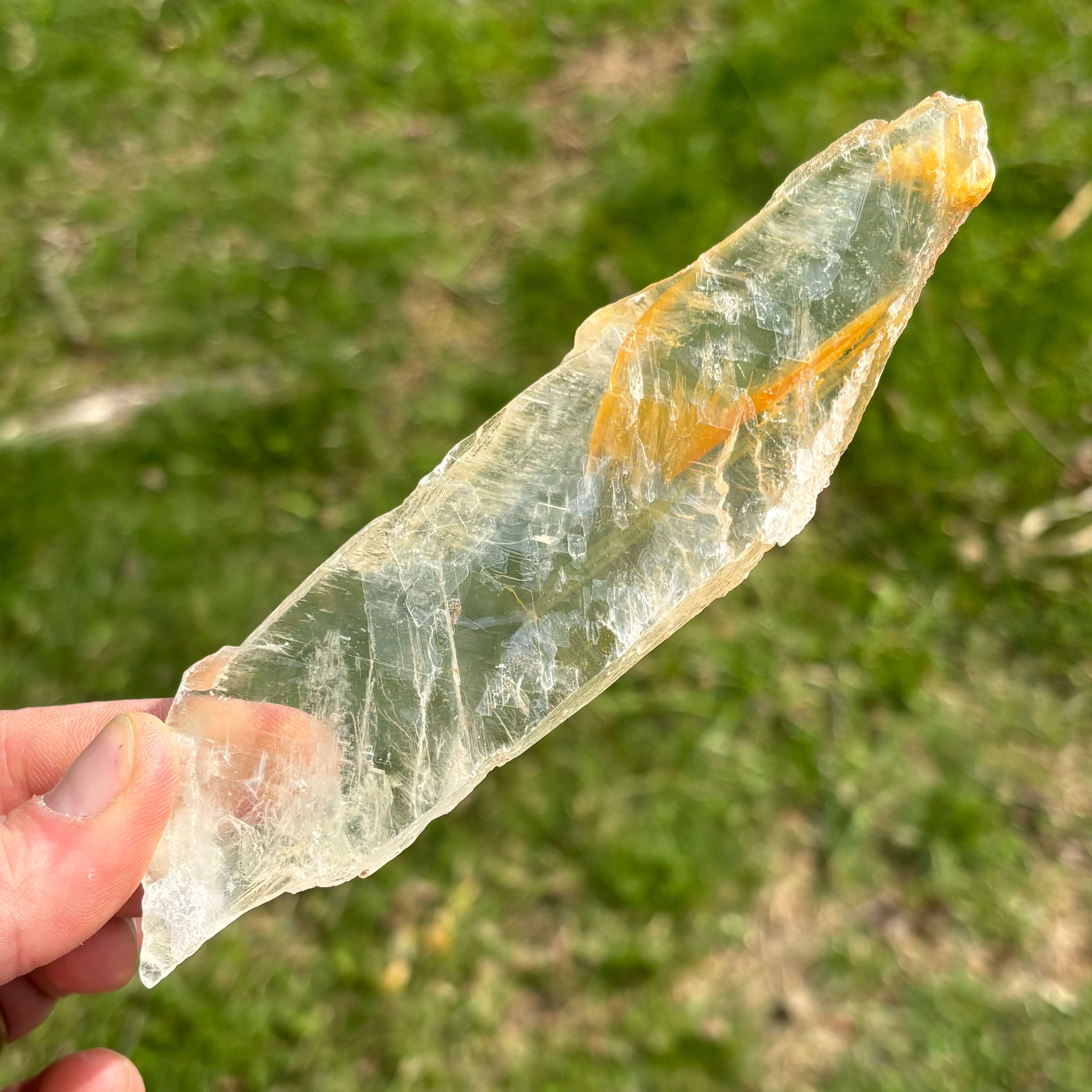 Golden Selenite Window - 641