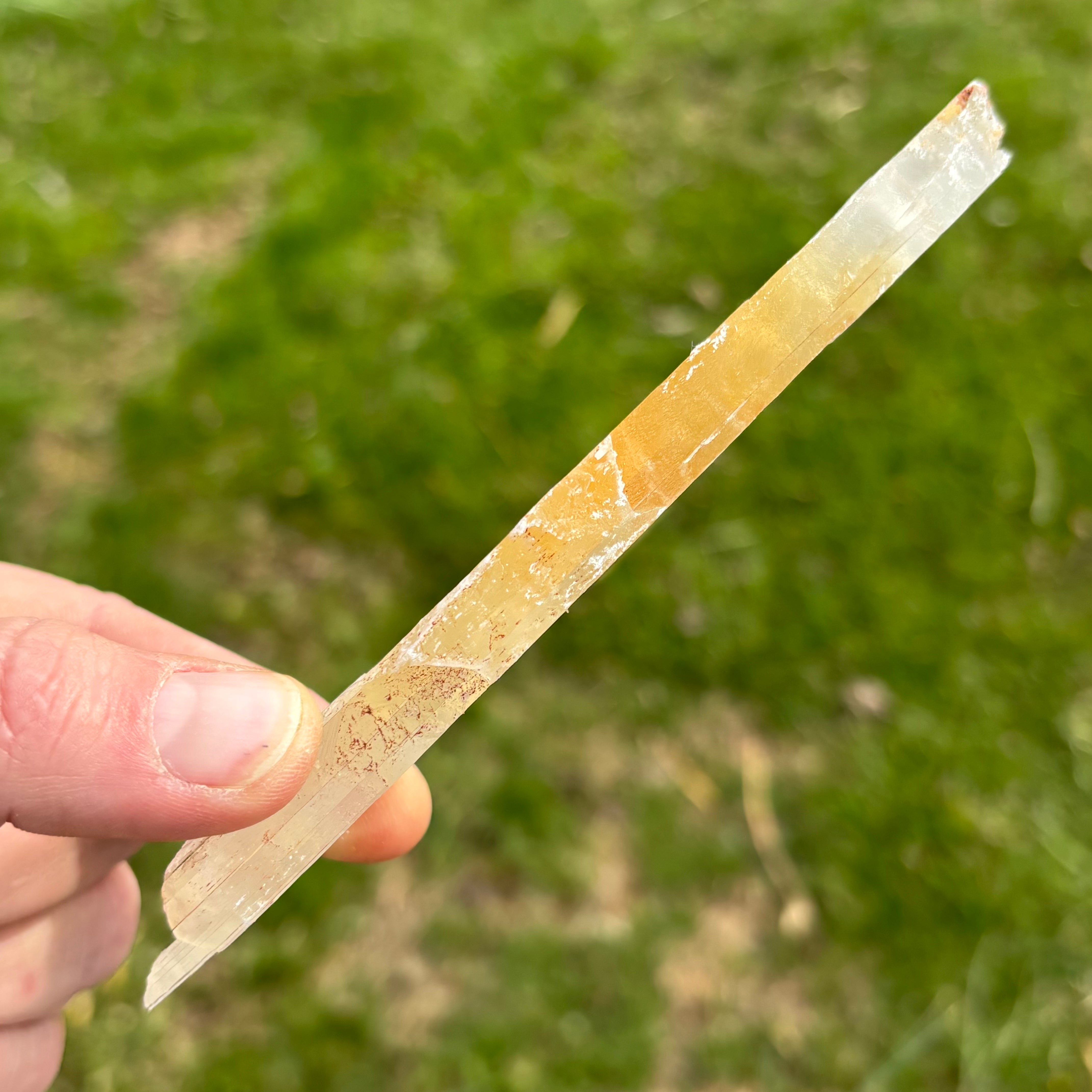 Golden Selenite Window - 642