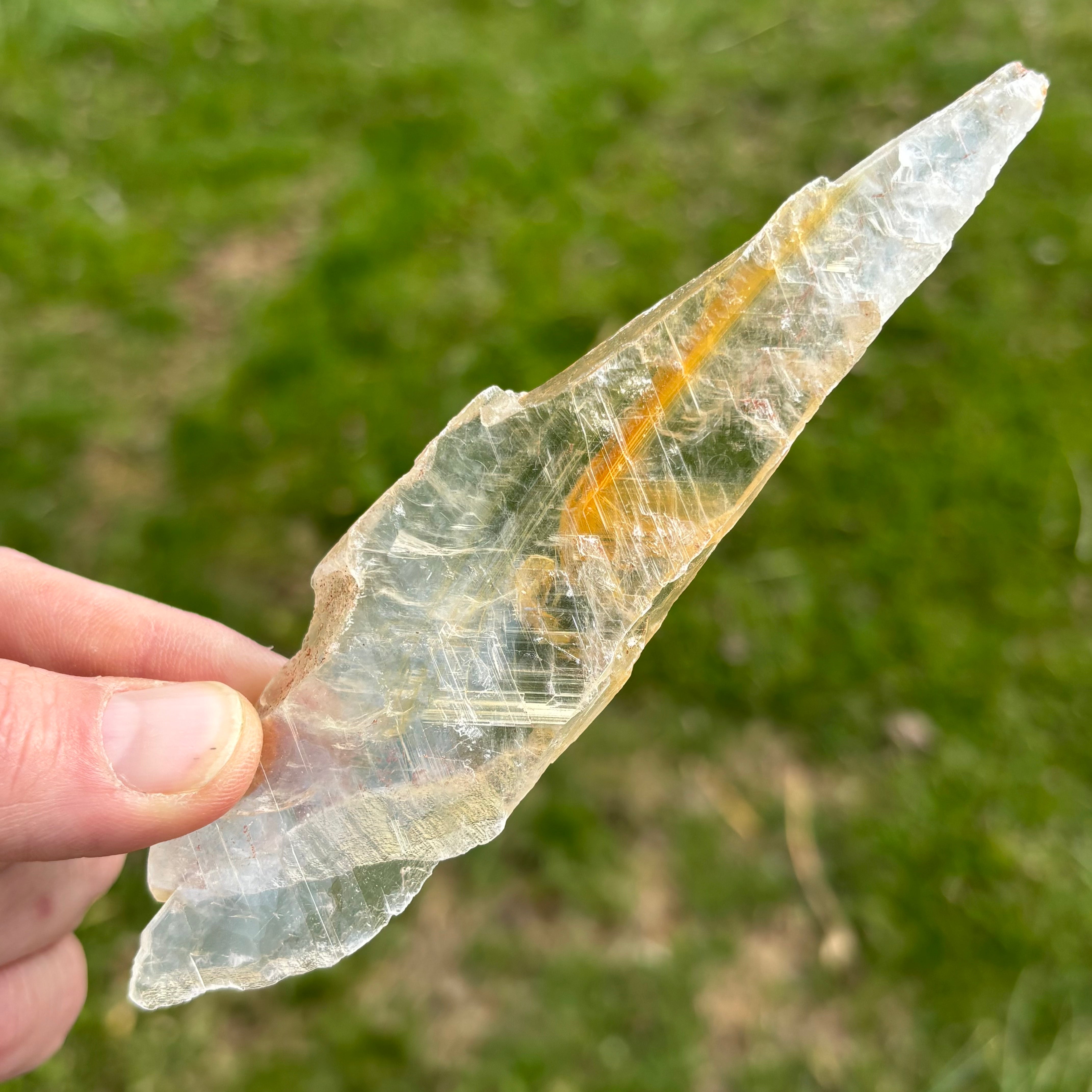 Golden Selenite Window - 642