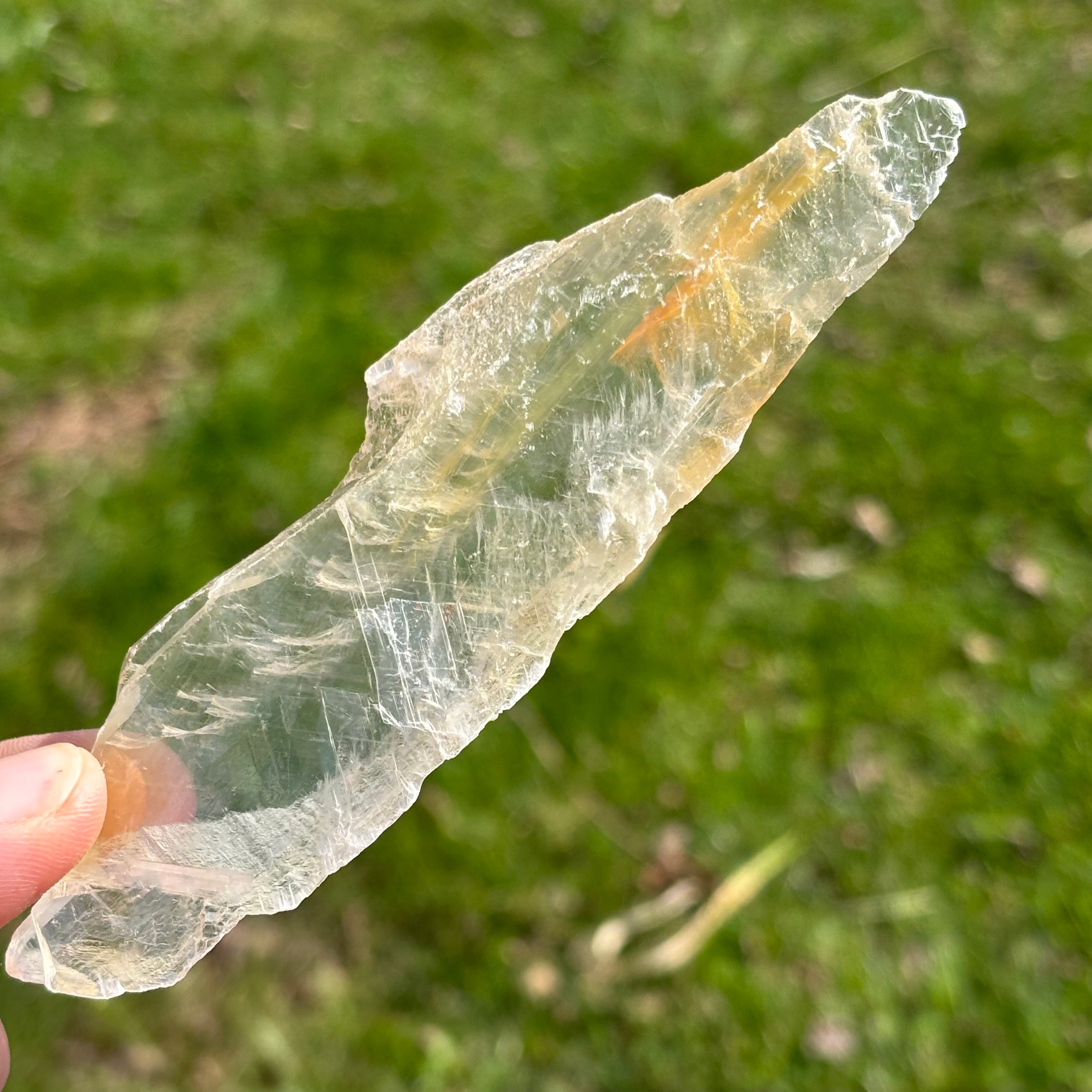 Golden Selenite Window - 643