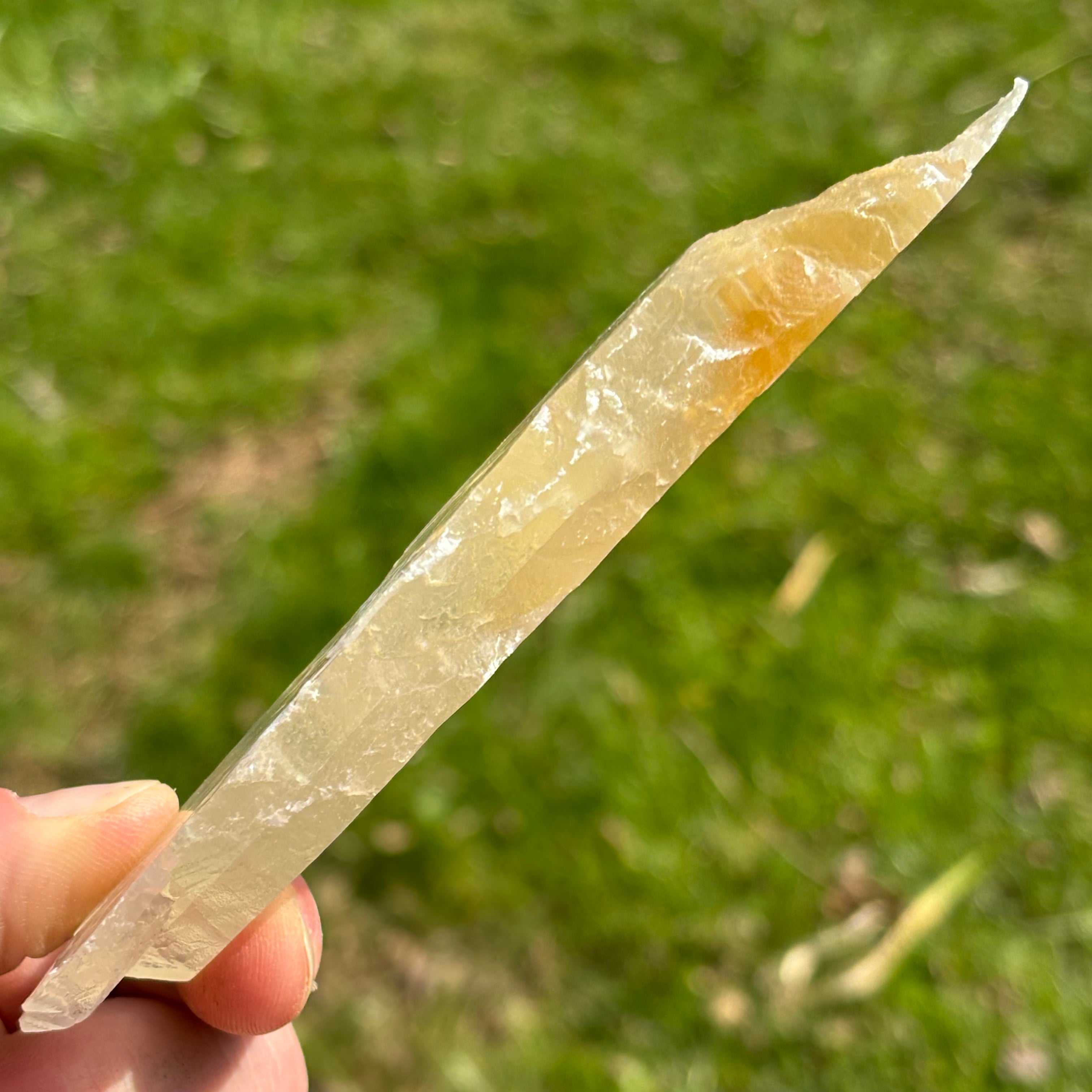 Golden Selenite Window - 643
