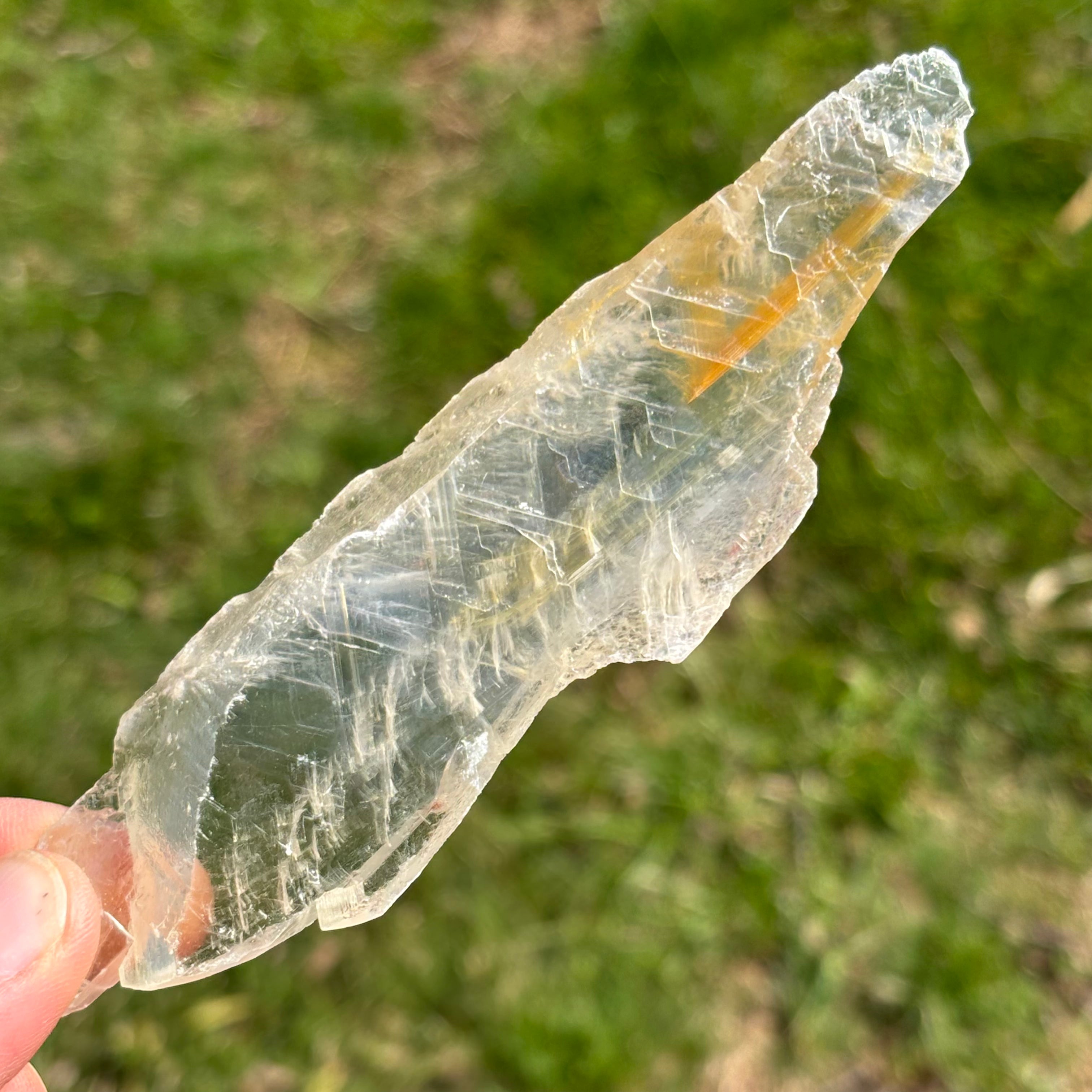 Golden Selenite Window - 643