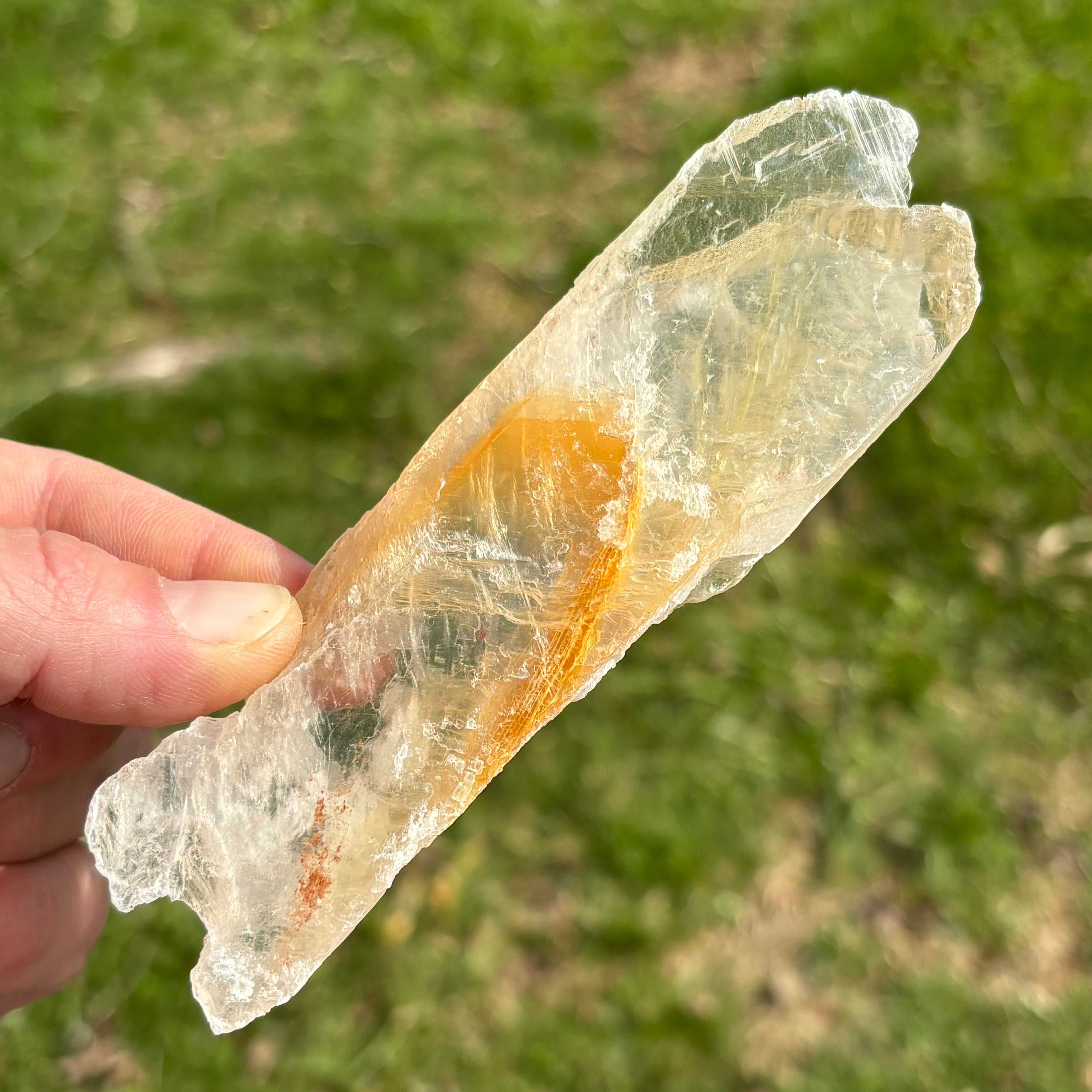 Golden Selenite Window - 645