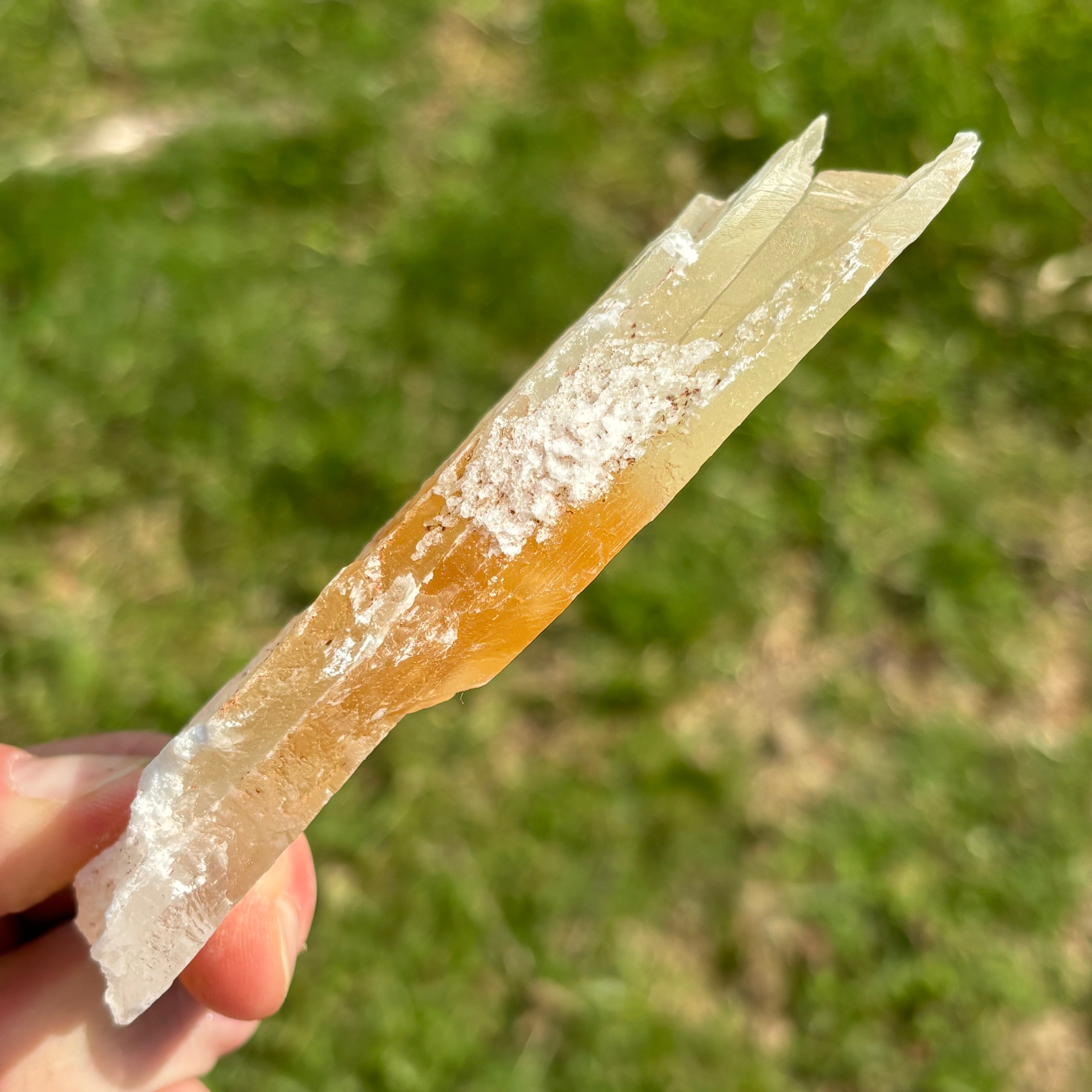 Golden Selenite Window - 645