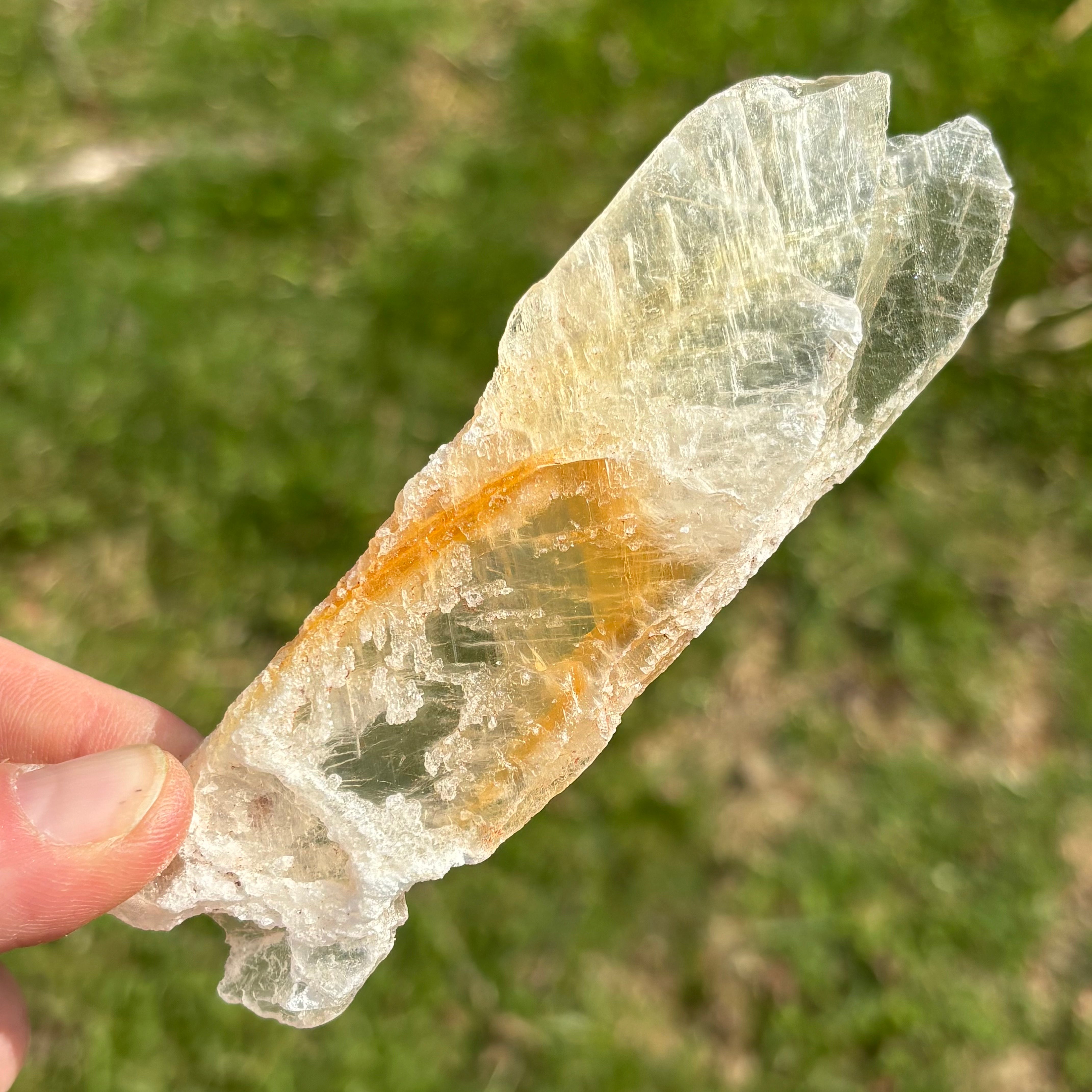 Golden Selenite Window - 645