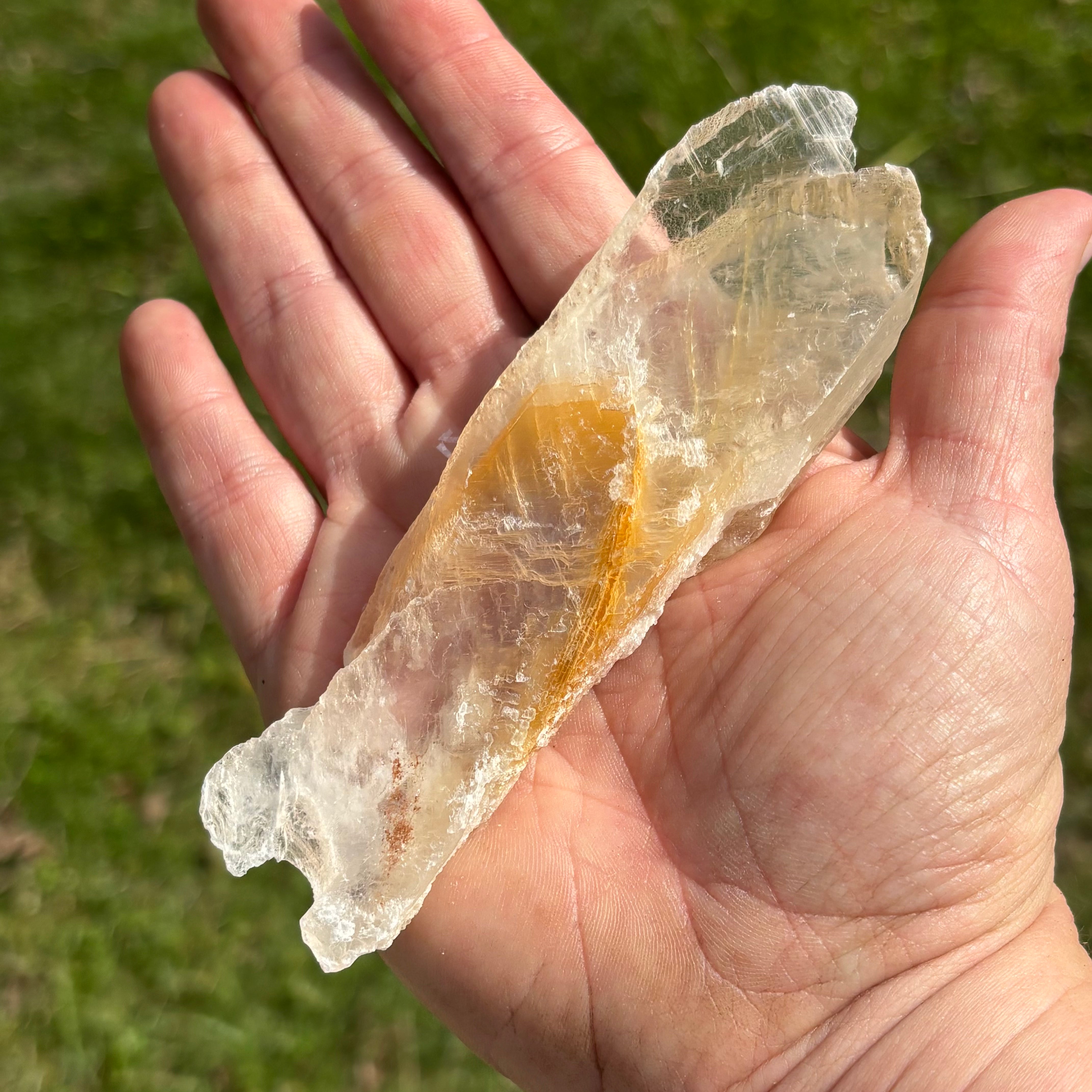 Golden Selenite Window - 645