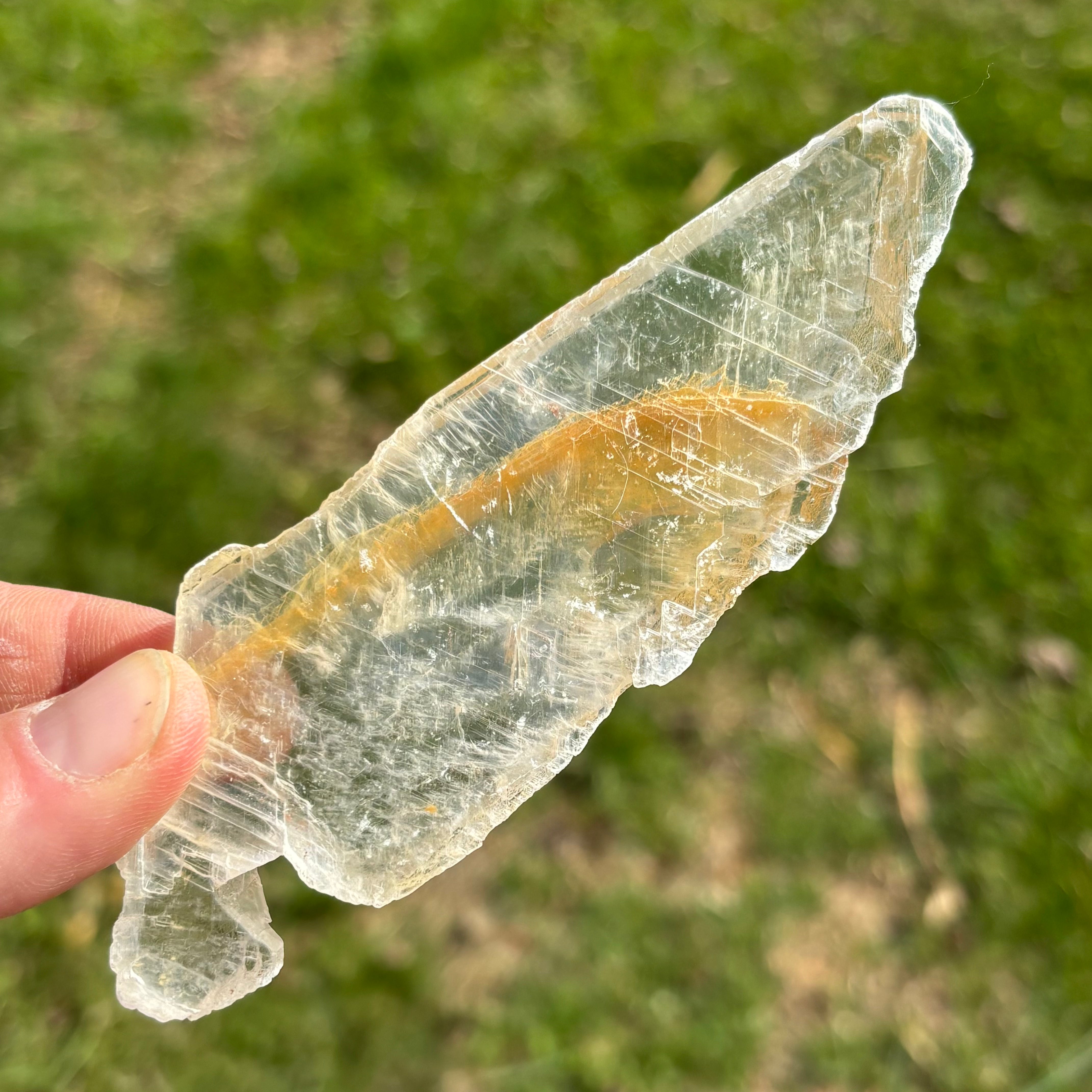 Golden Selenite Window - 646