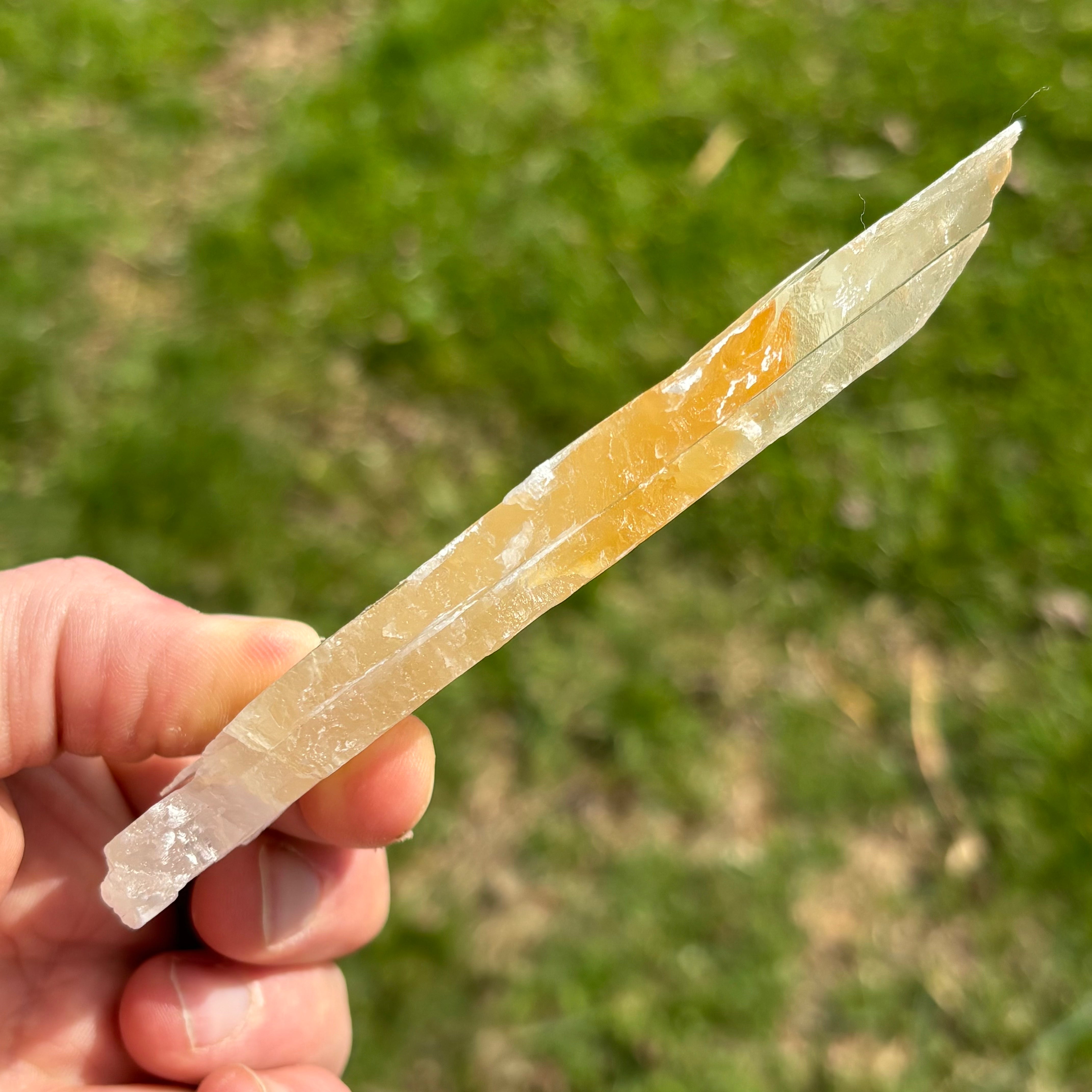 Golden Selenite Window - 646