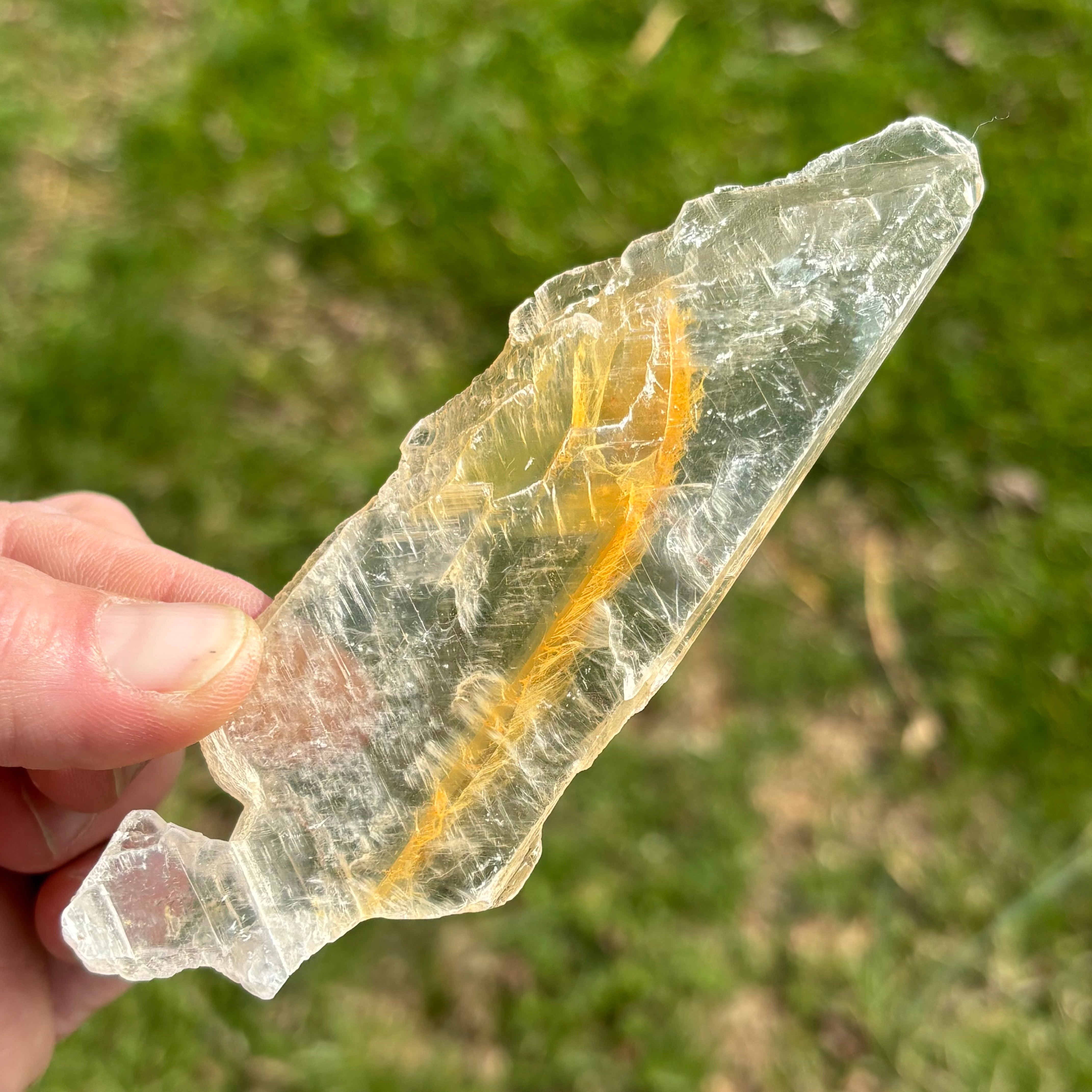 Golden Selenite Window - 646