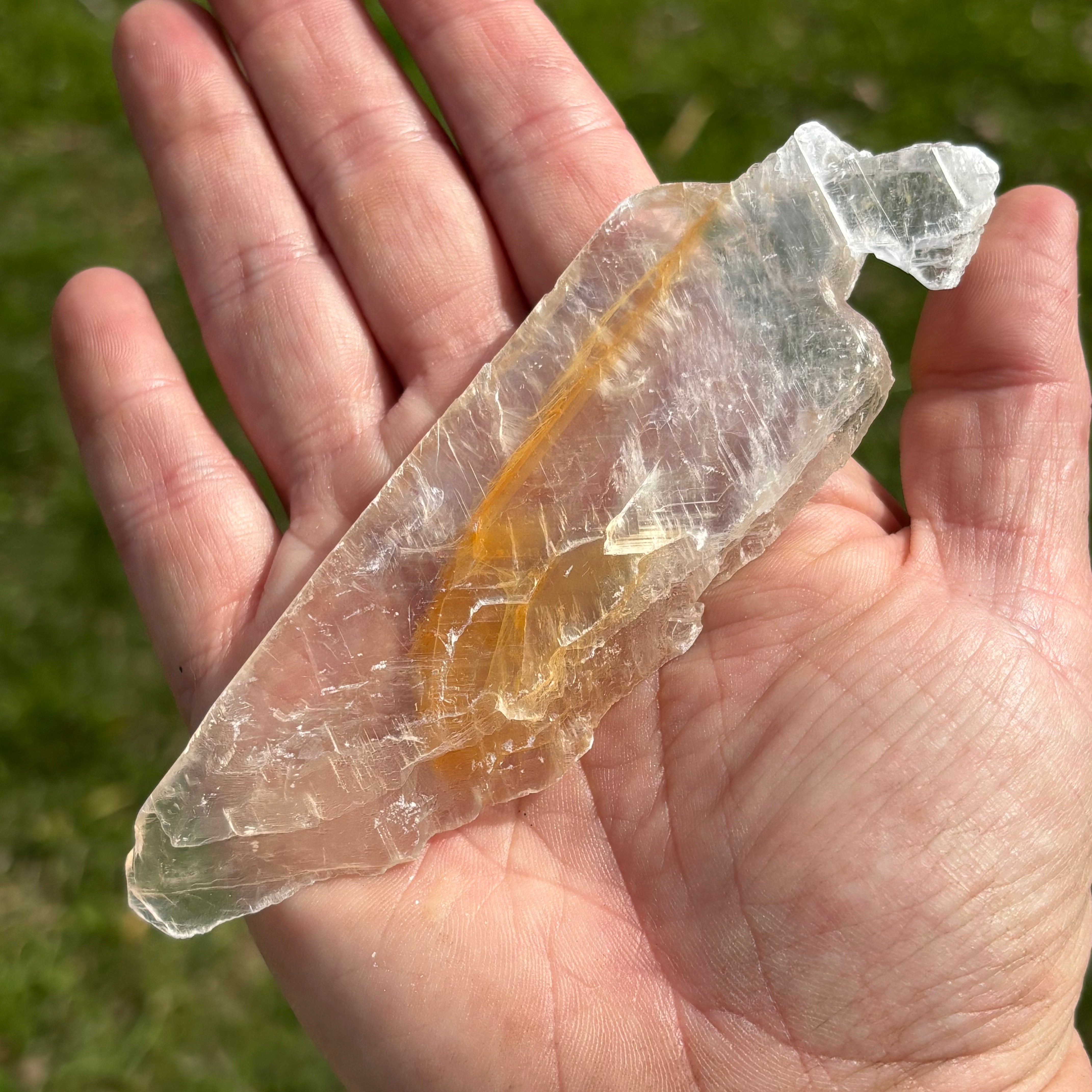 Golden Selenite Window - 646