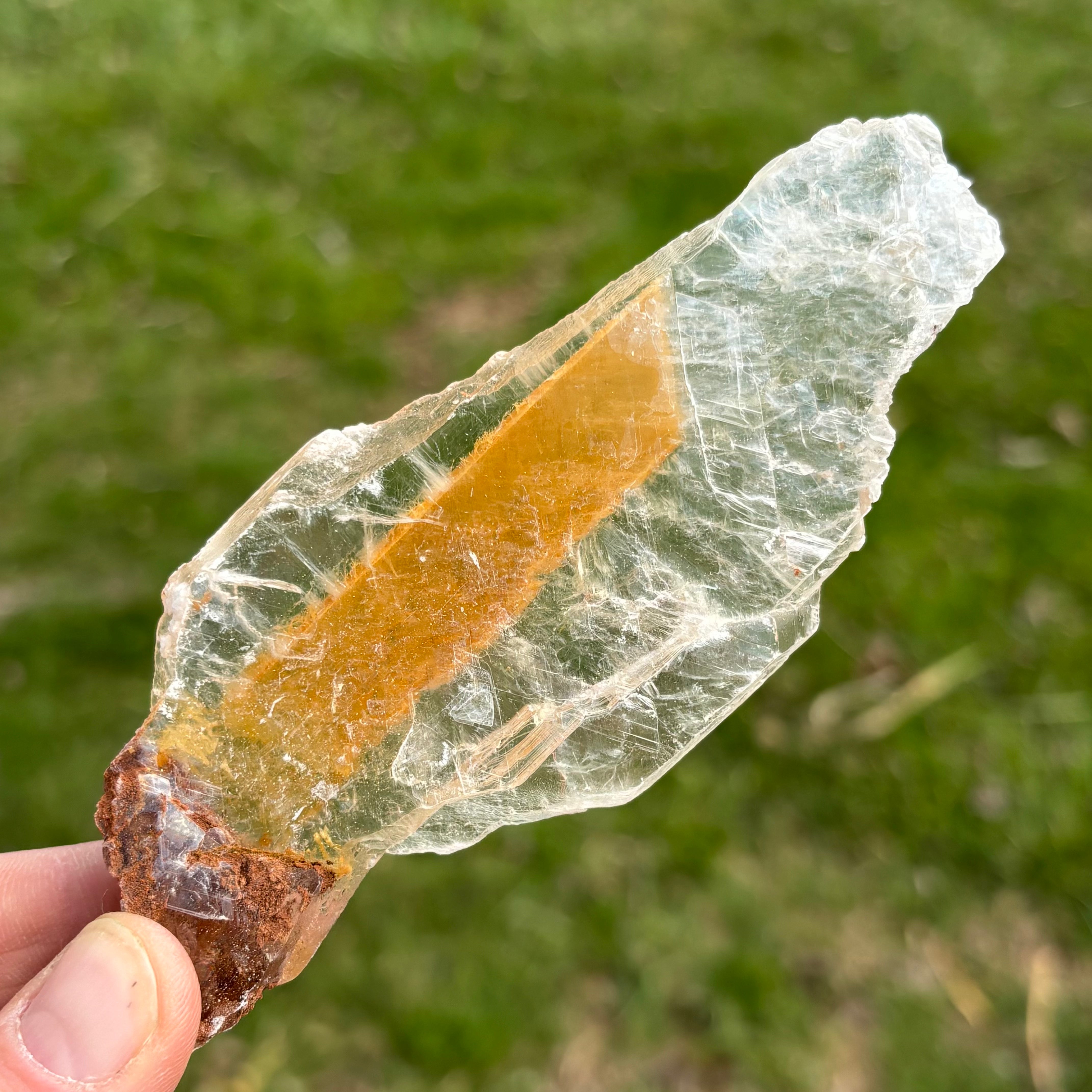 Golden Selenite Window - 648