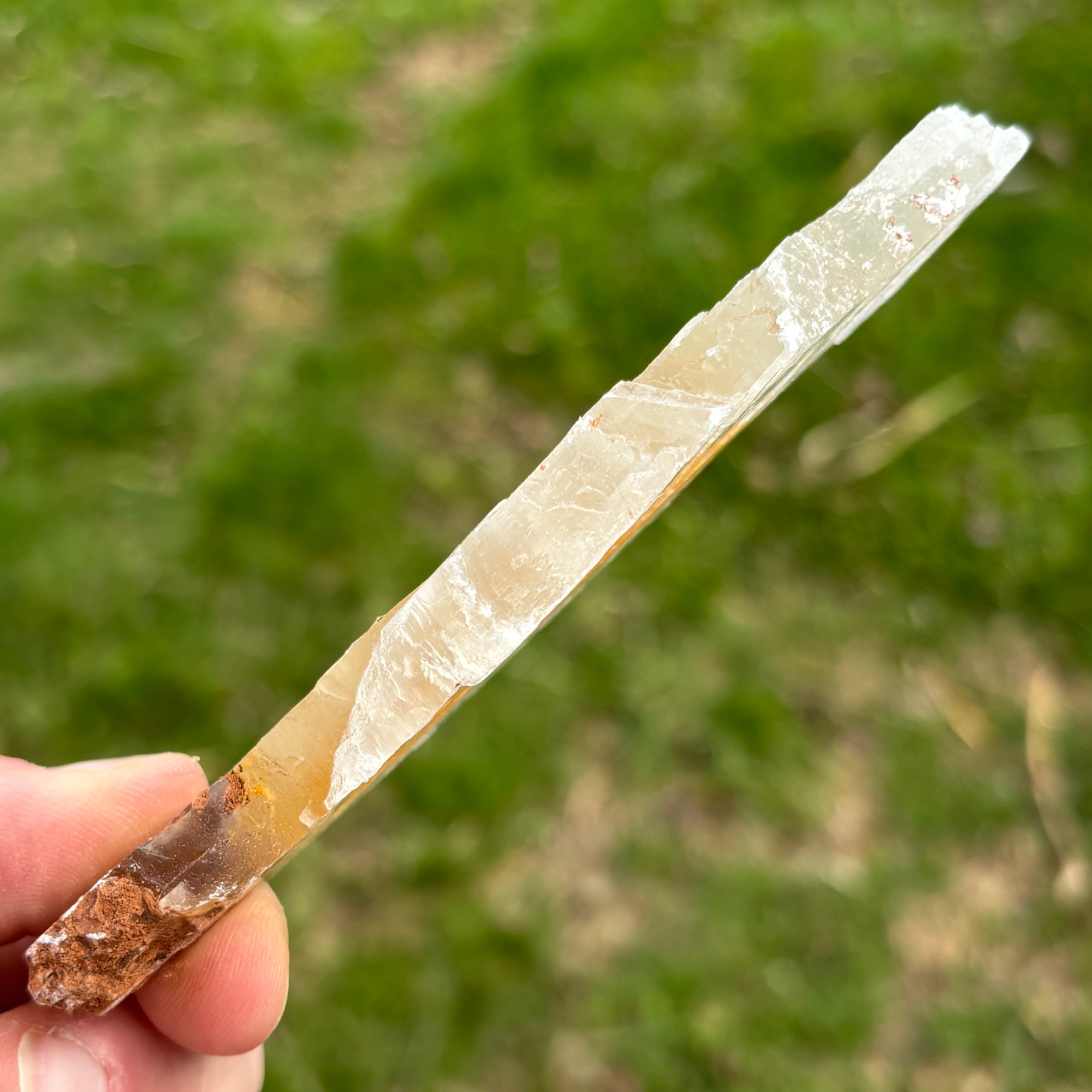 Golden Selenite Window - 648