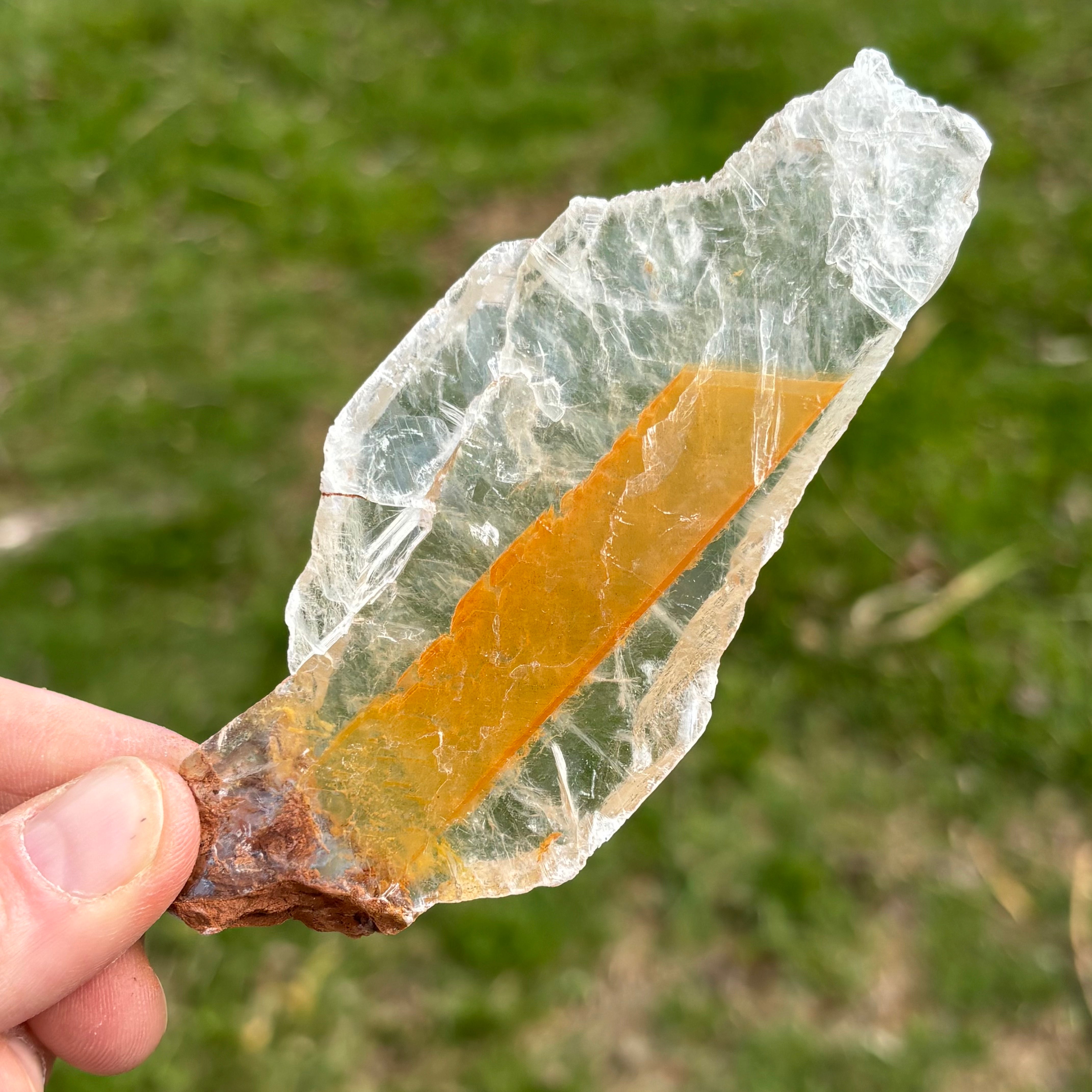 Golden Selenite Window - 648