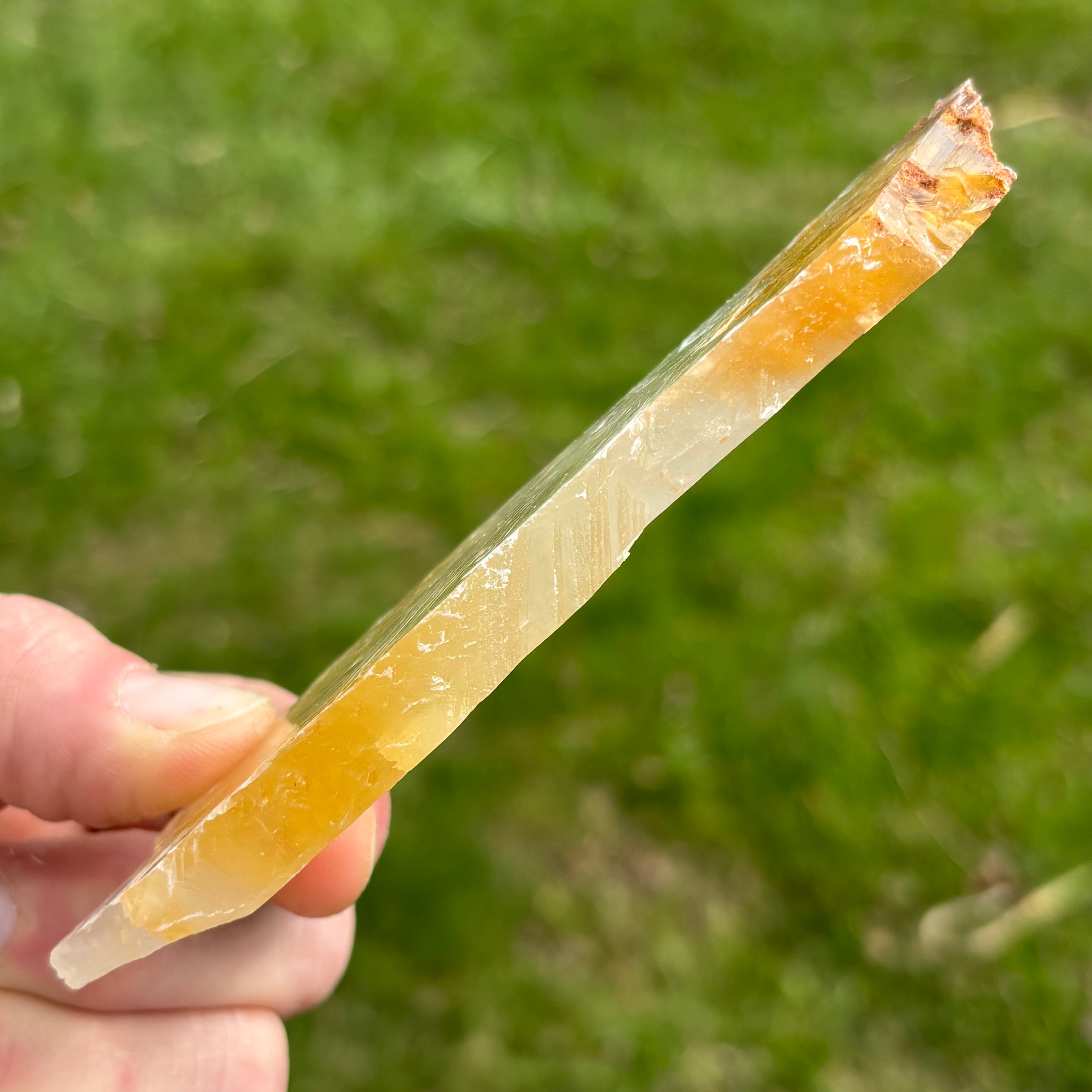 Golden Selenite Window - 649