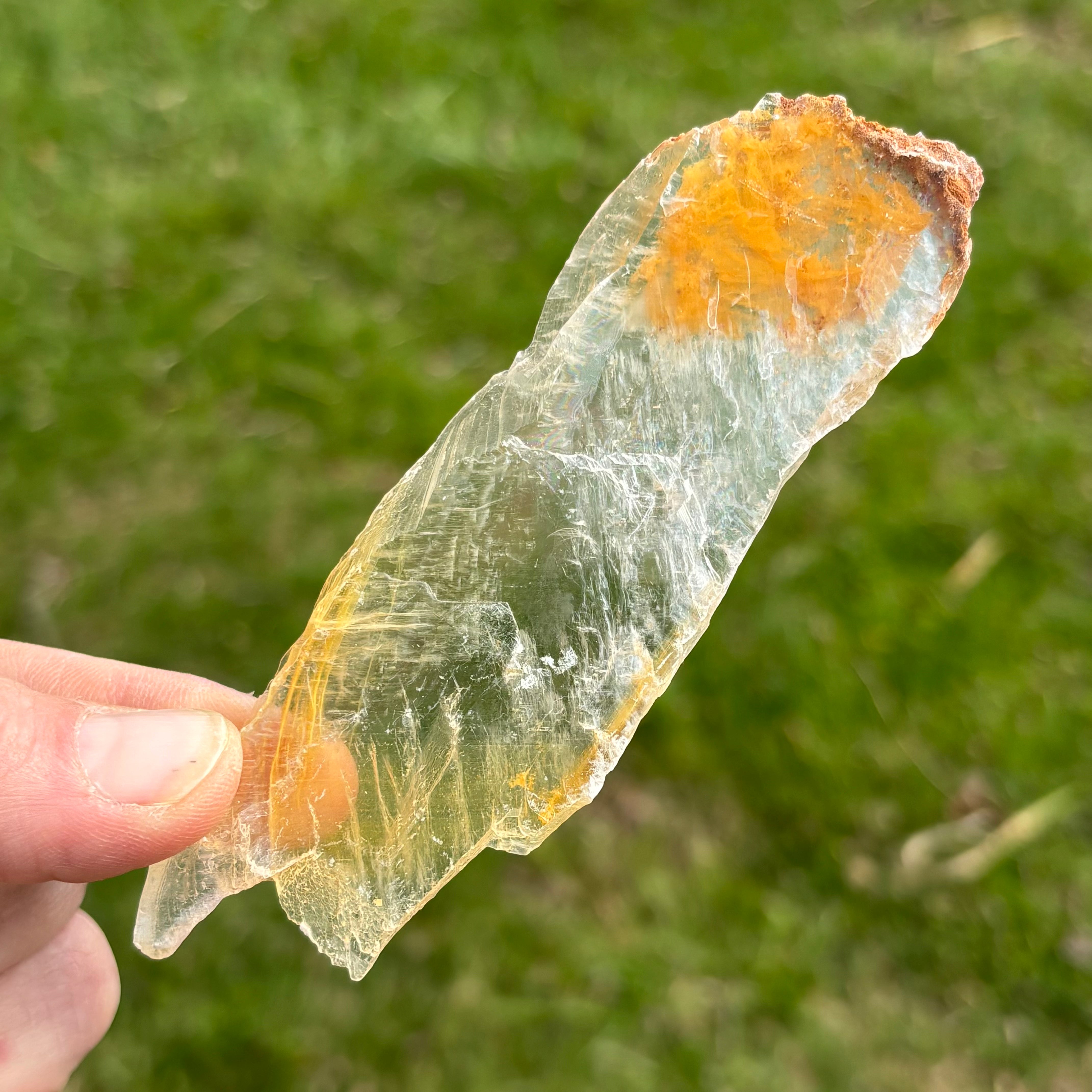 Golden Selenite Window - 649