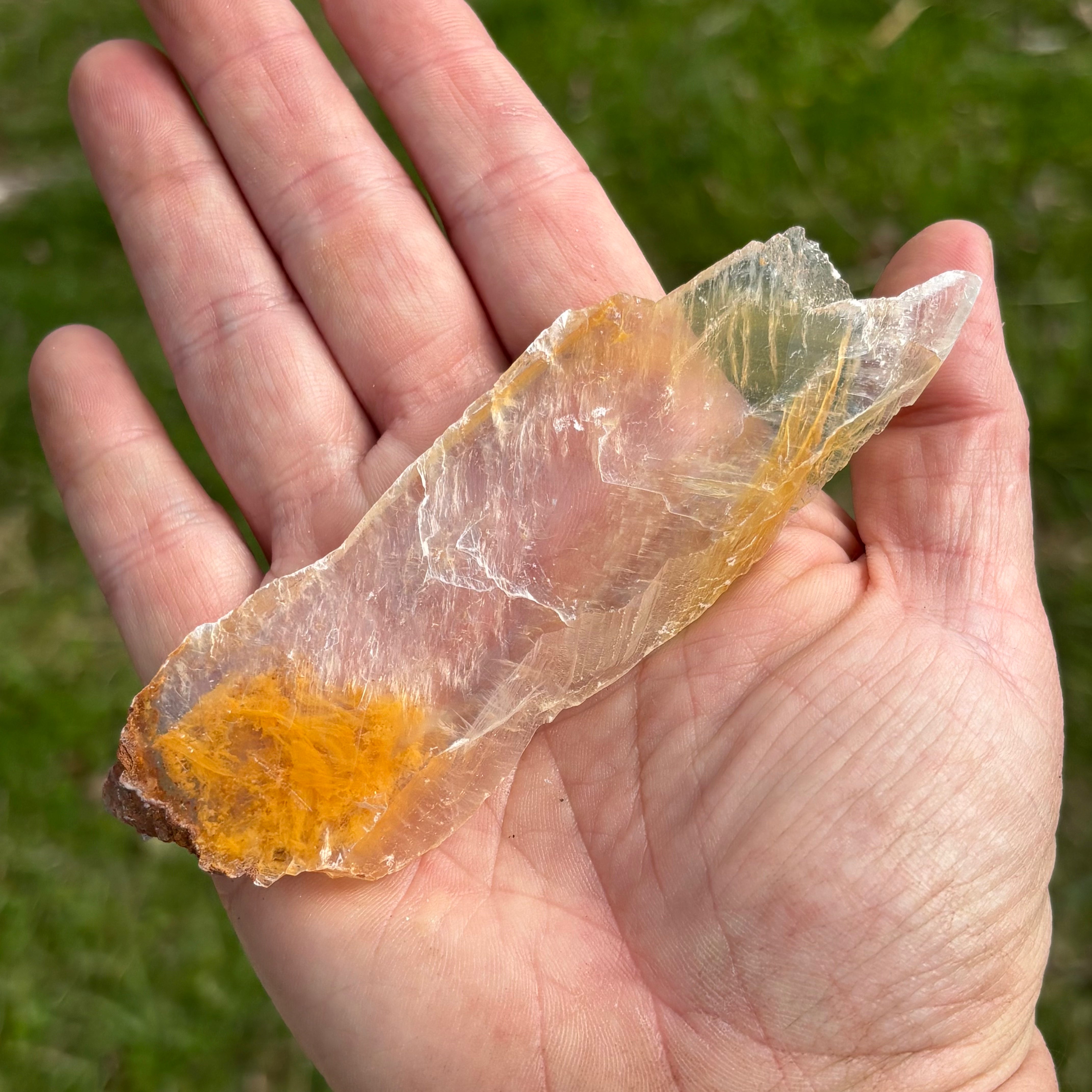 Golden Selenite Window - 649