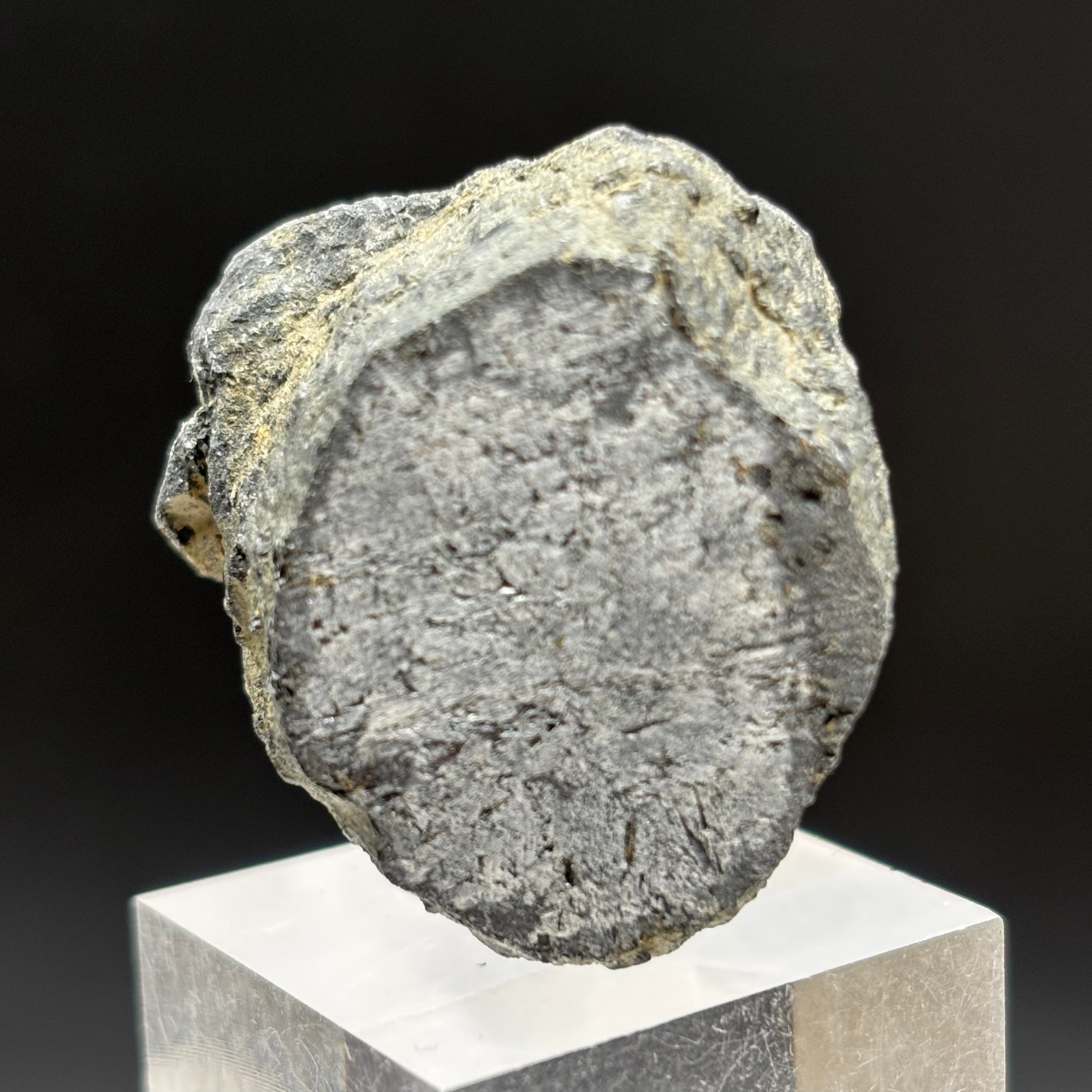 Siberian Chiastolite - 001