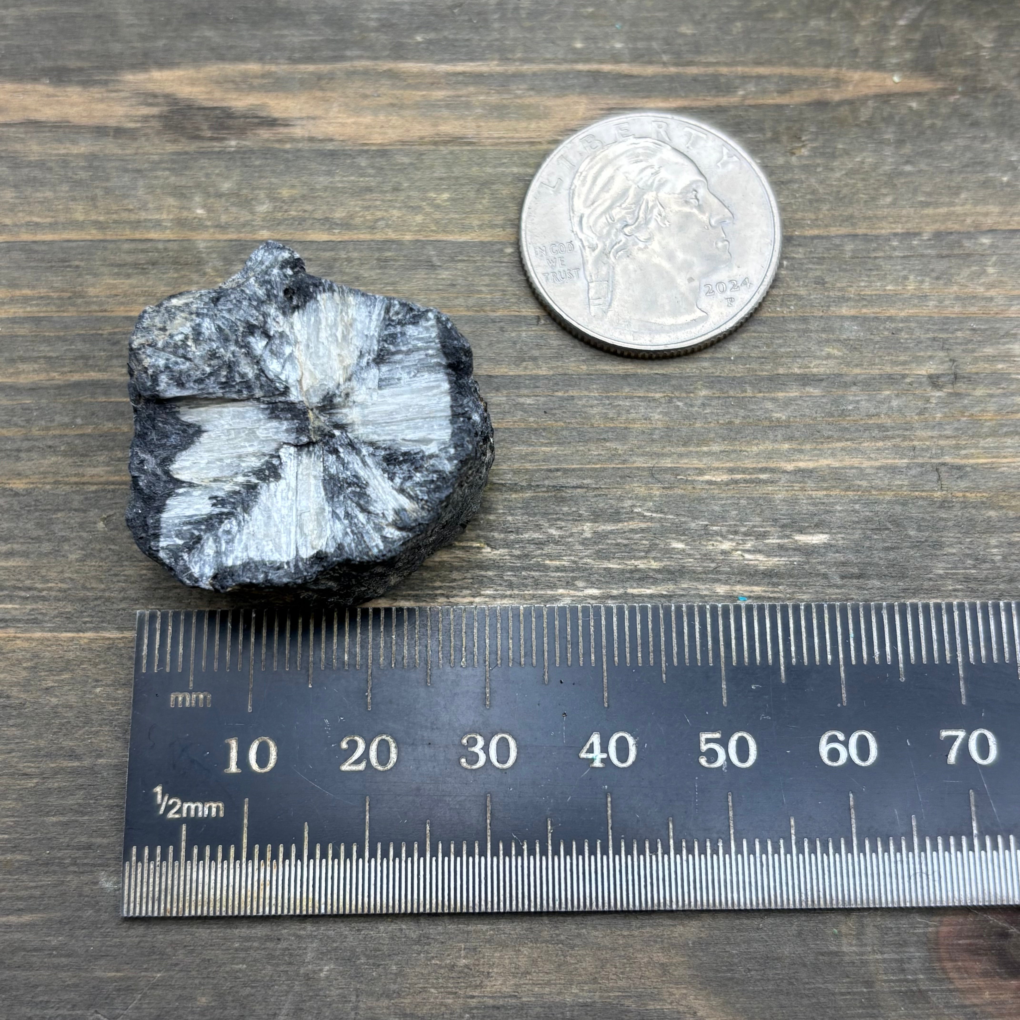Siberian Chiastolite - 001