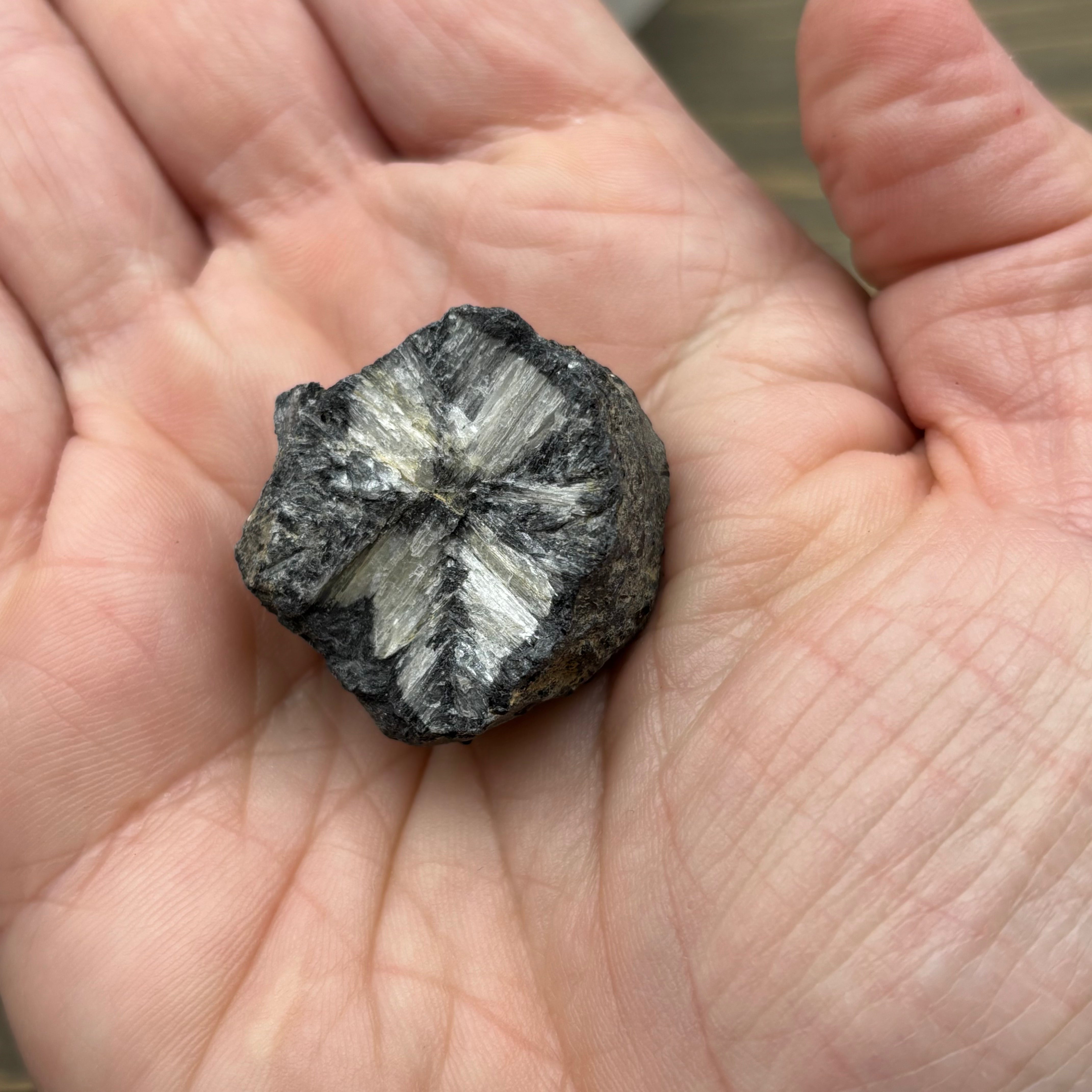 Siberian Chiastolite - 001