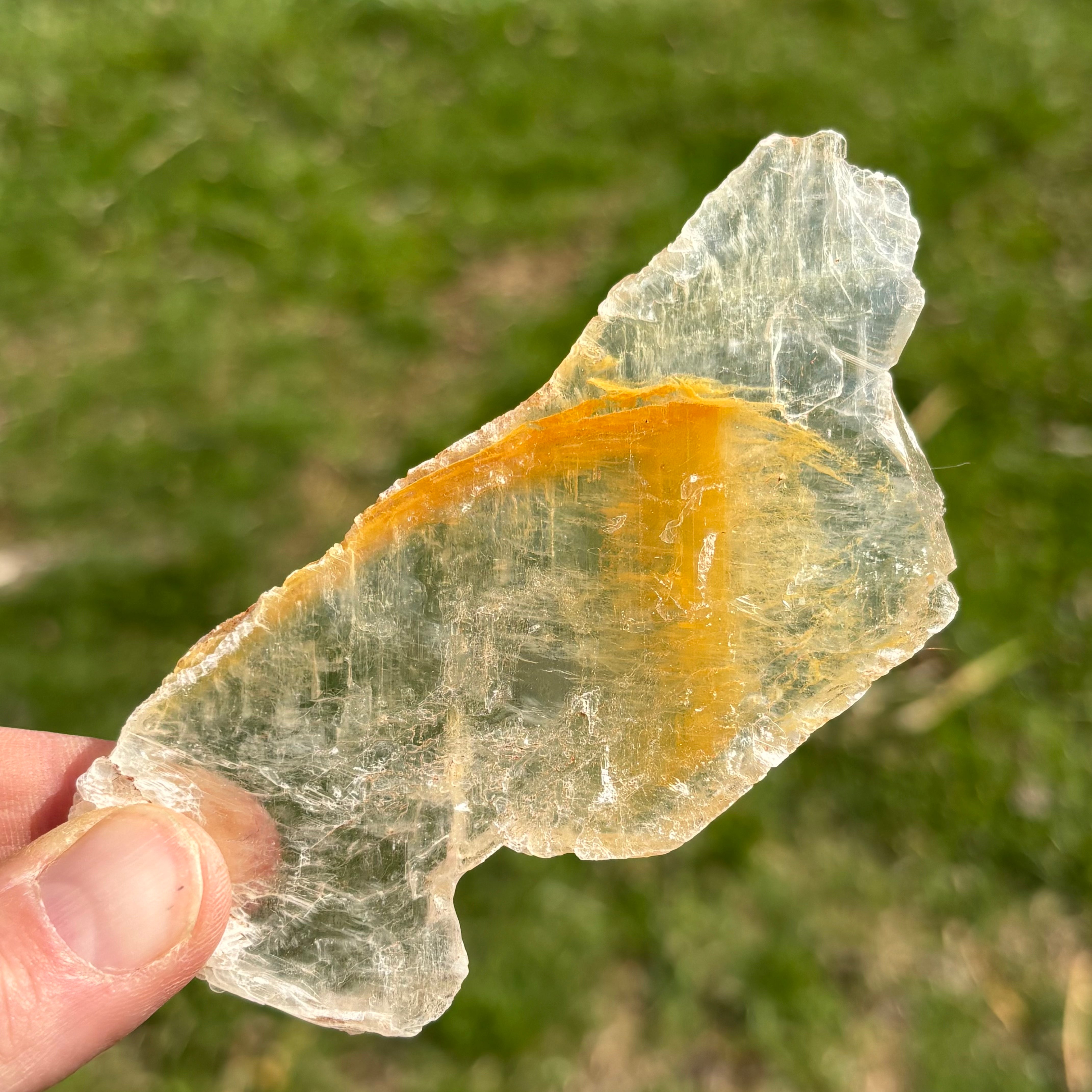 Golden Selenite Window - 651