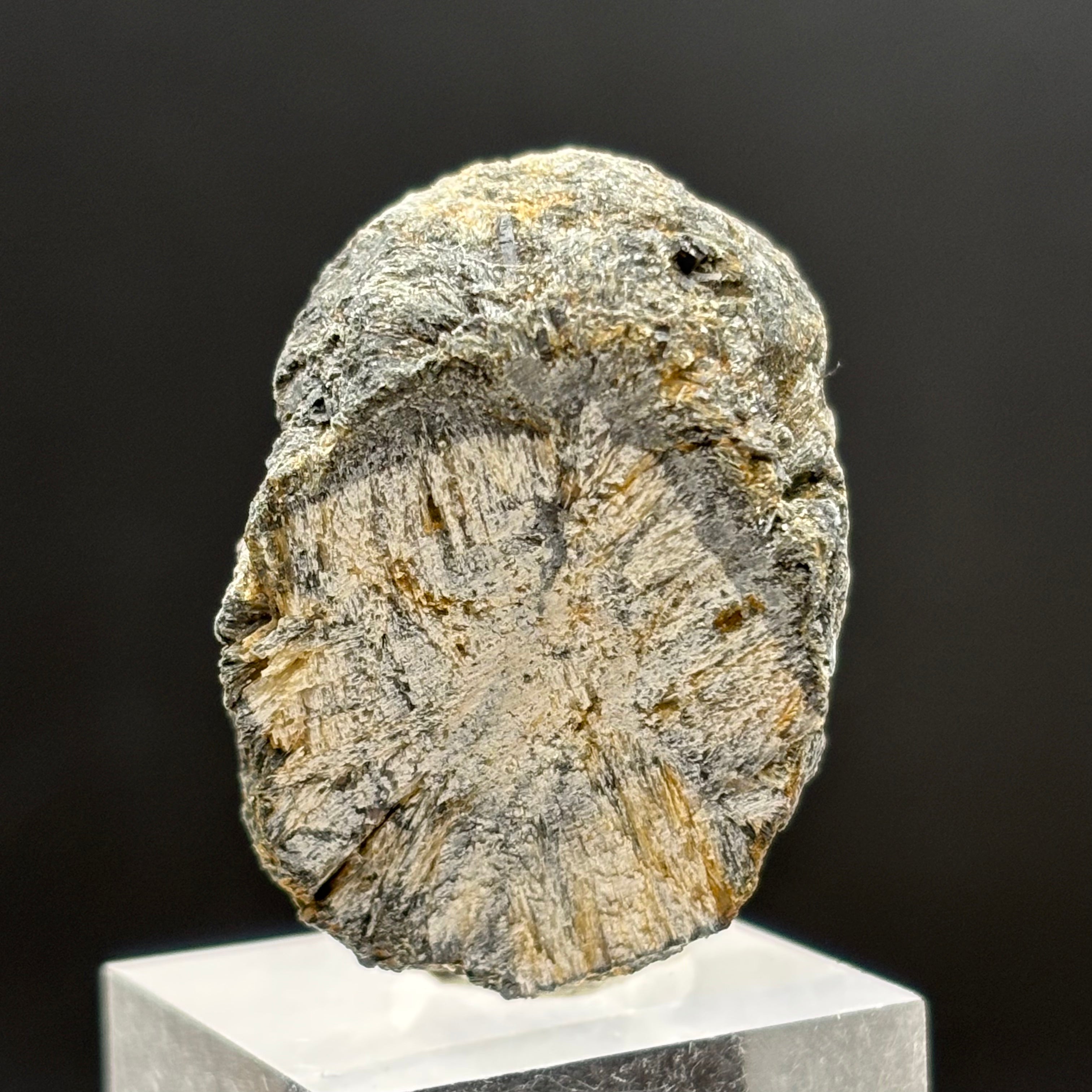 Siberian Chiastolite - 002
