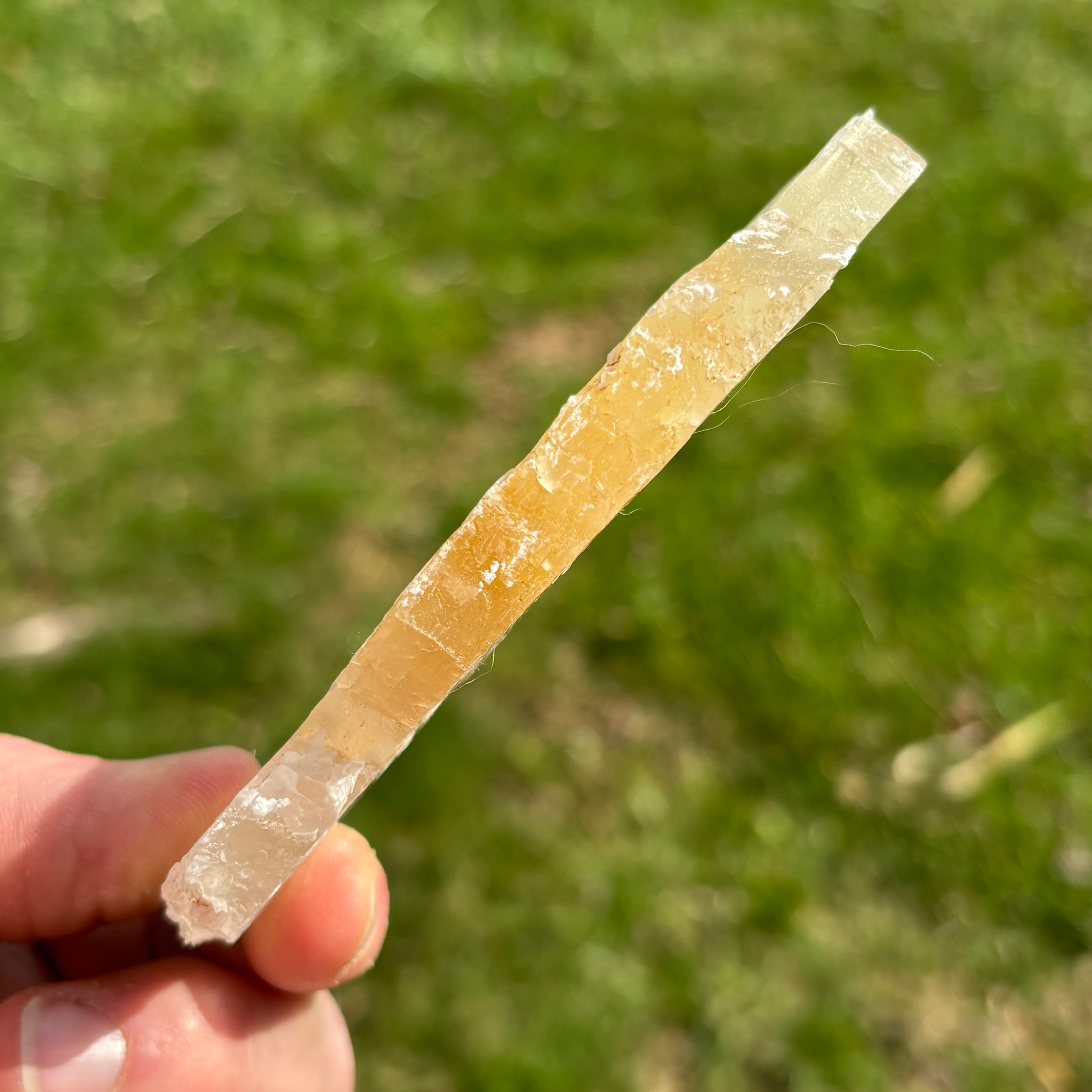 Golden Selenite Window - 651