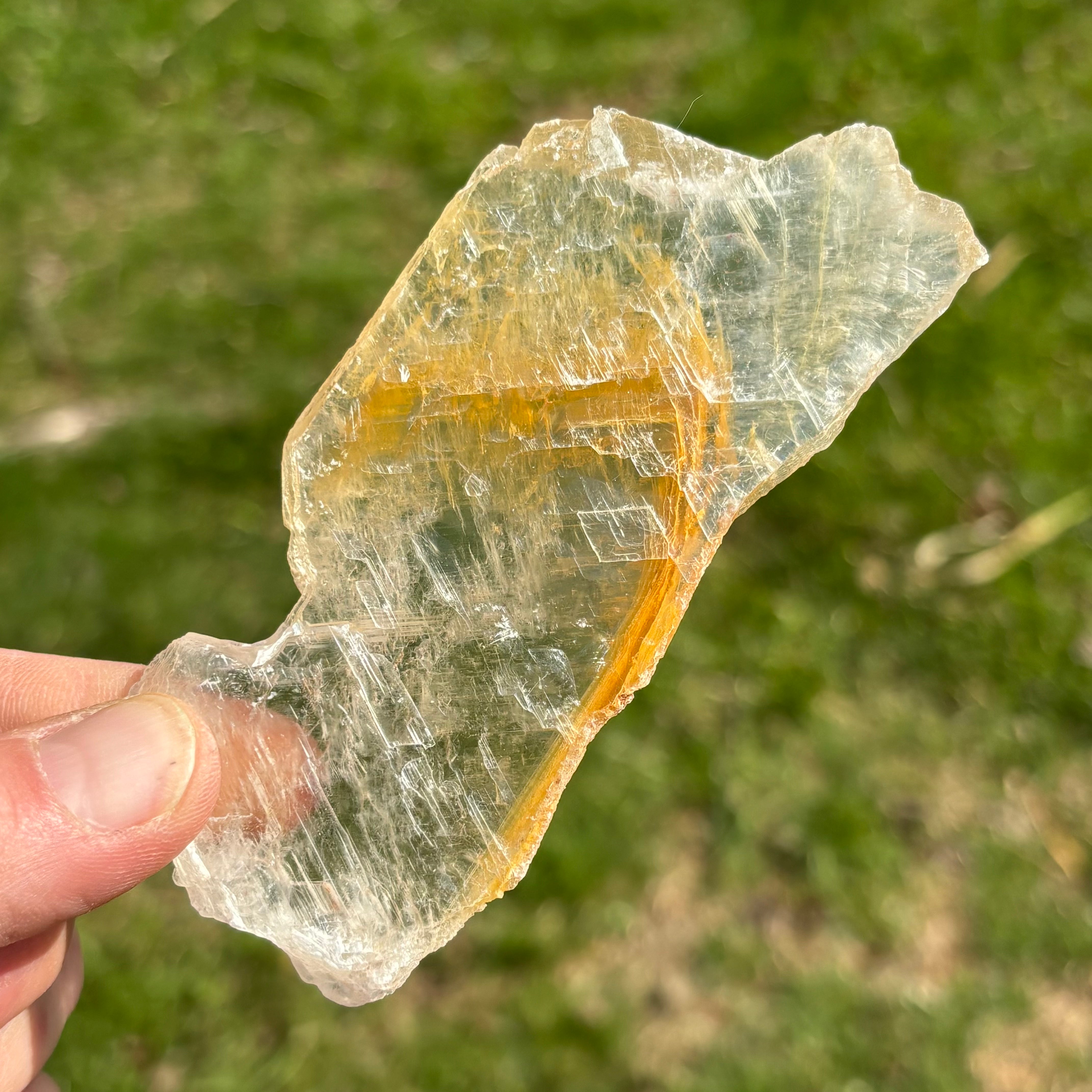 Golden Selenite Window - 651