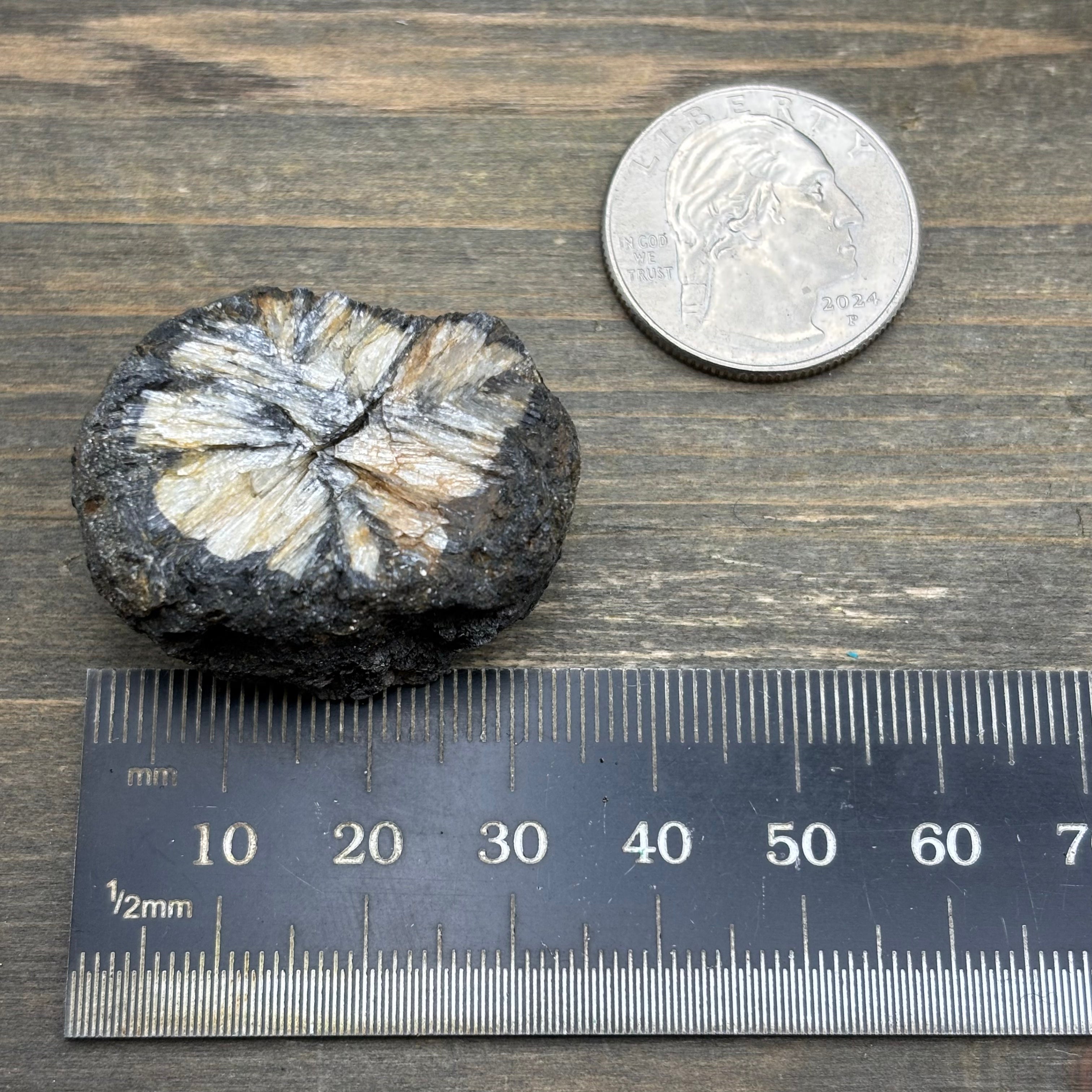 Siberian Chiastolite - 002