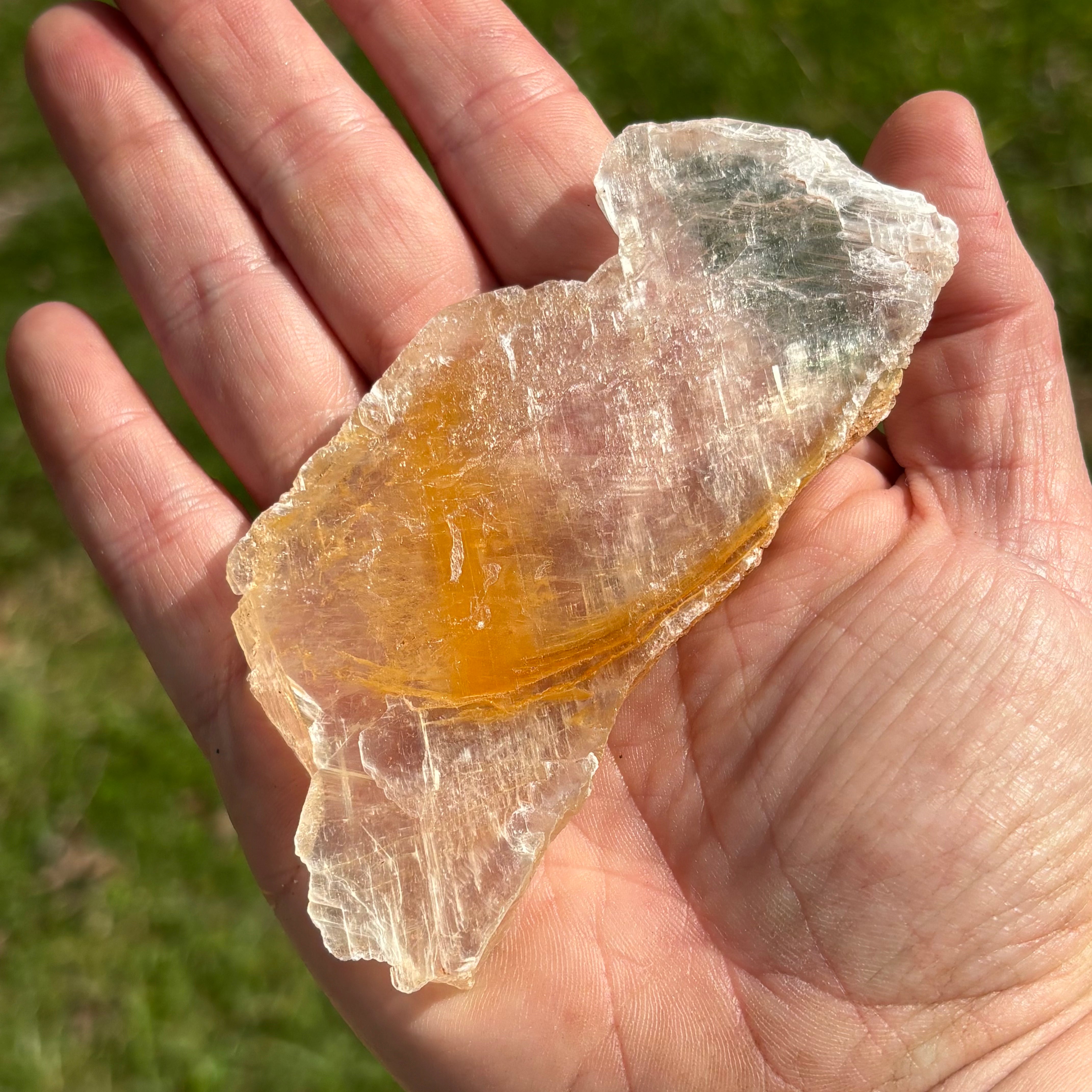 Golden Selenite Window - 651