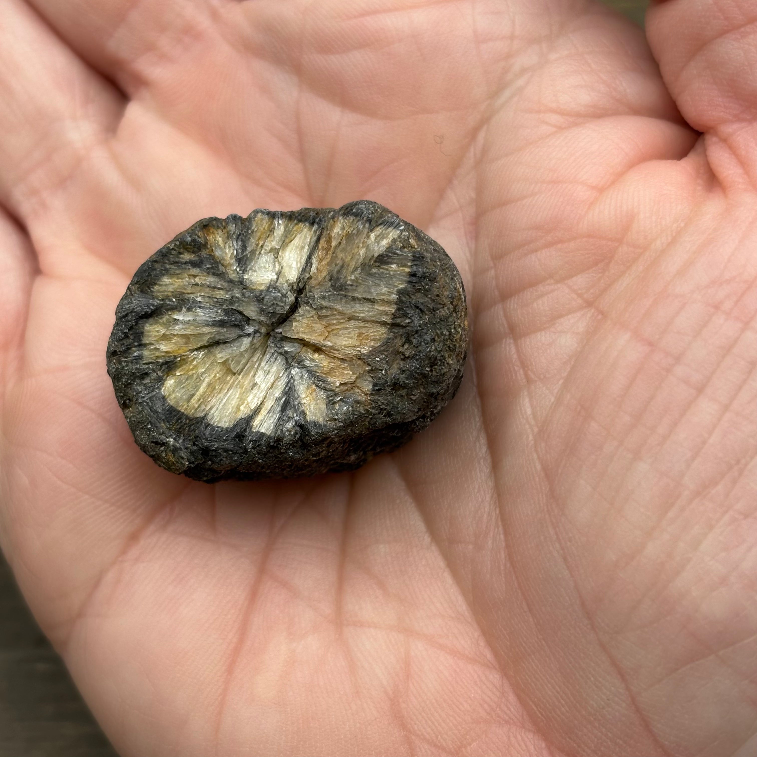 Siberian Chiastolite - 002