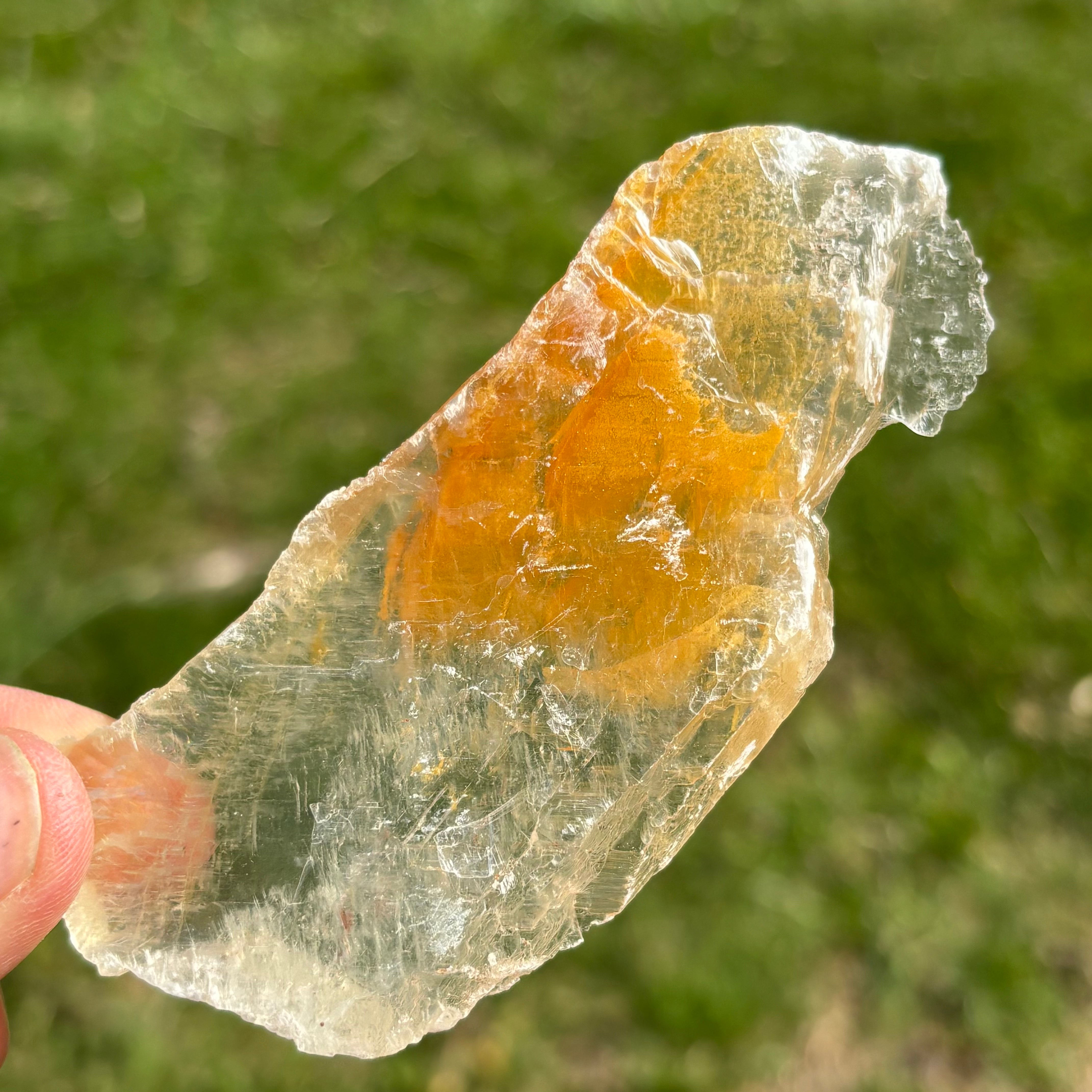 Golden Selenite Window - 652