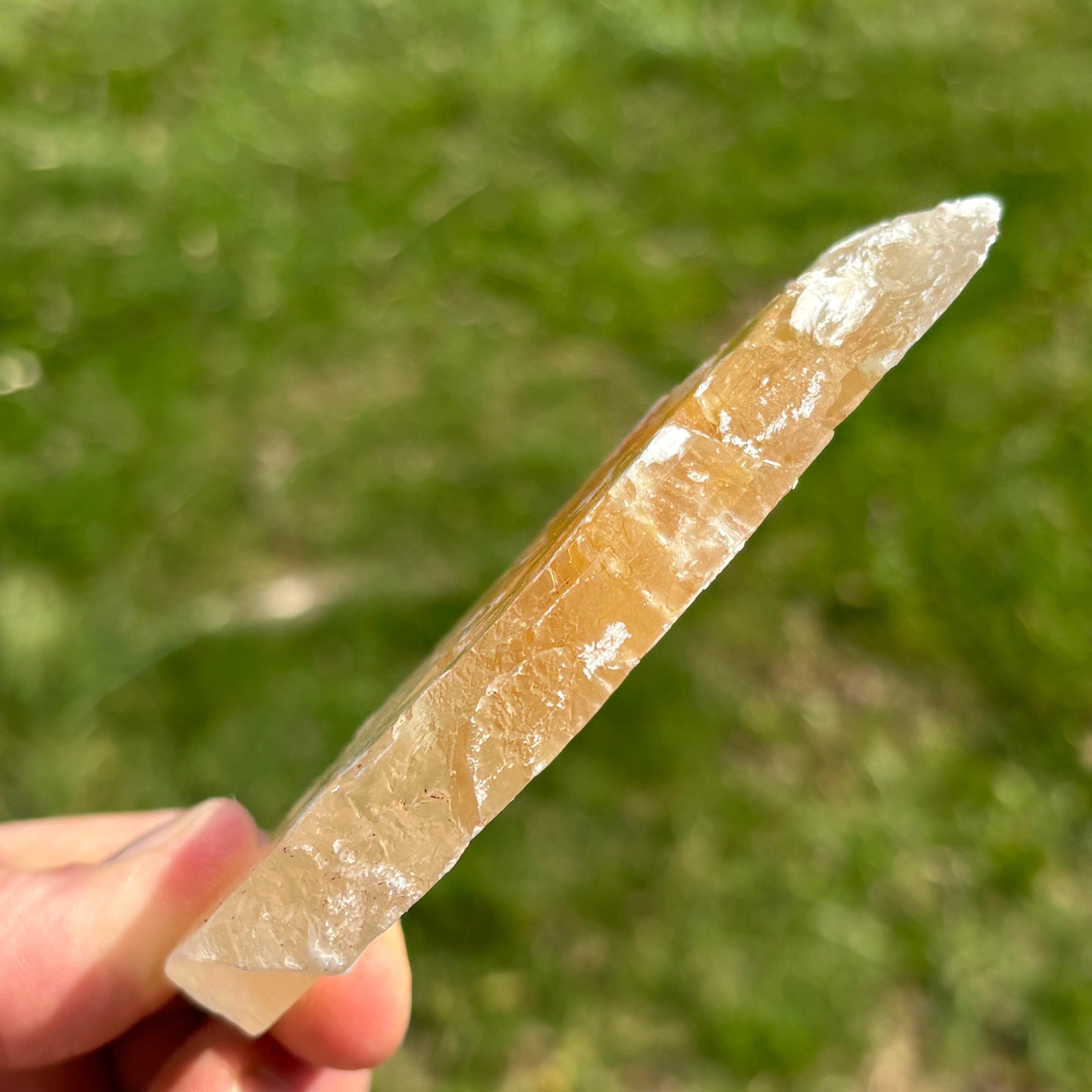 Golden Selenite Window - 652