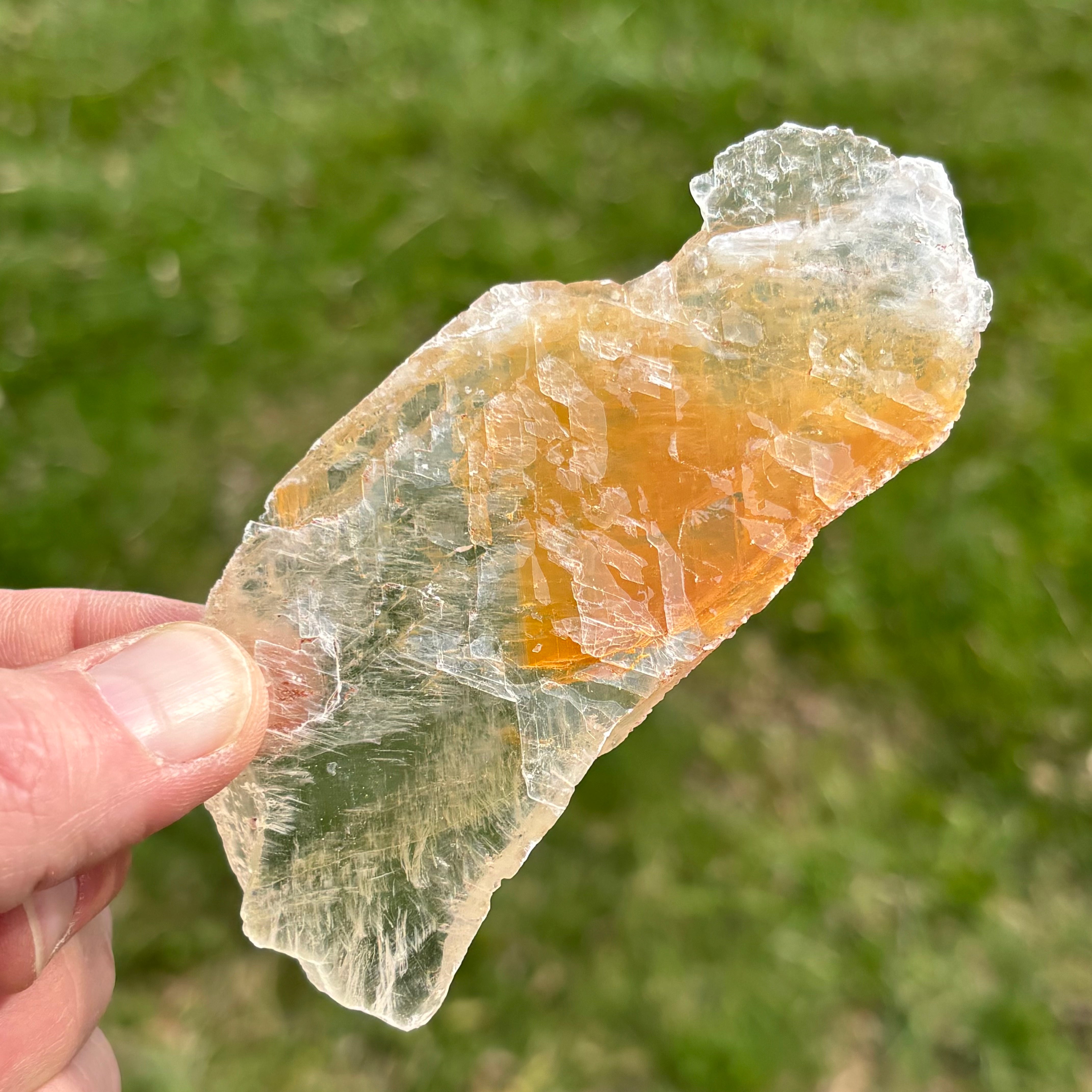 Golden Selenite Window - 652