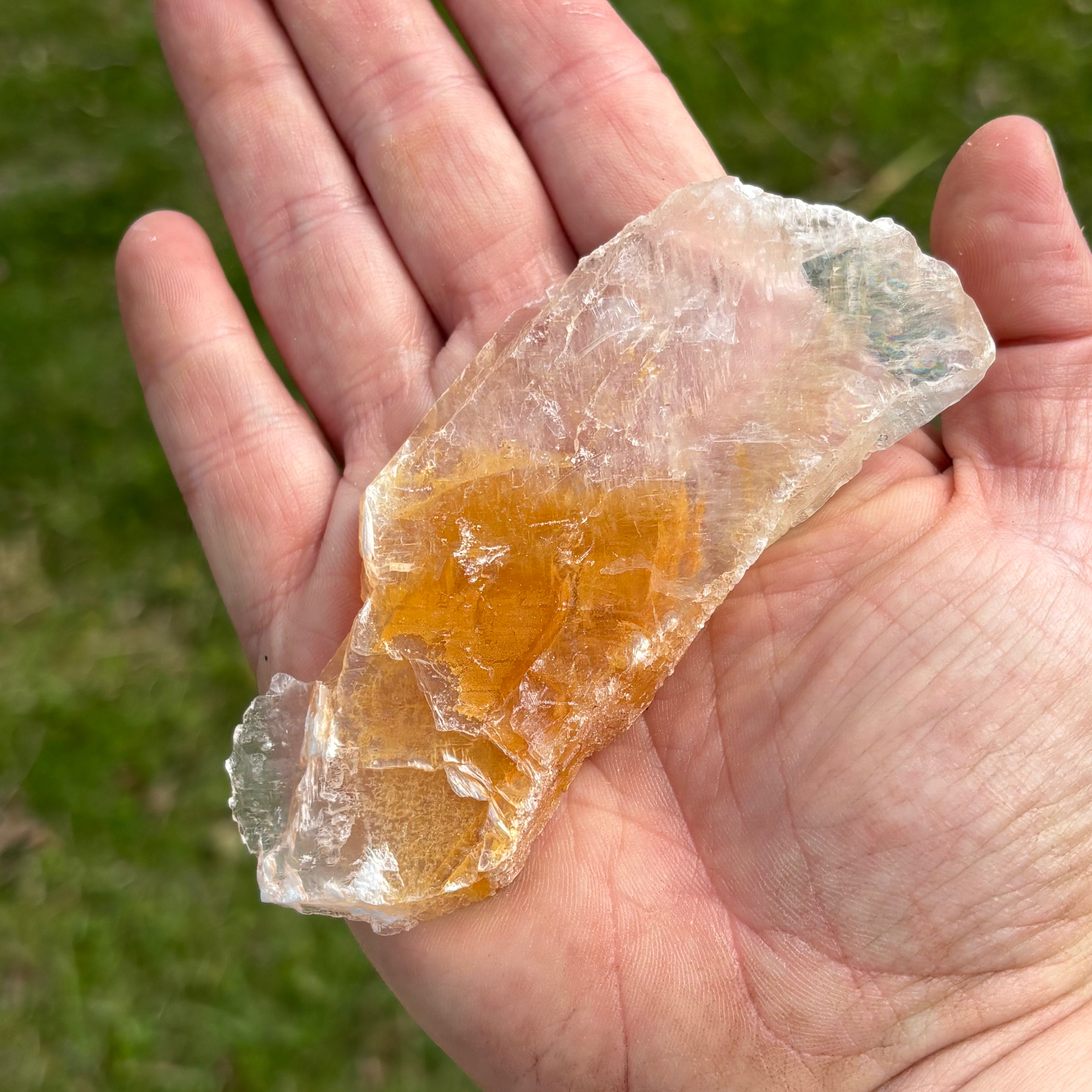 Golden Selenite Window - 652