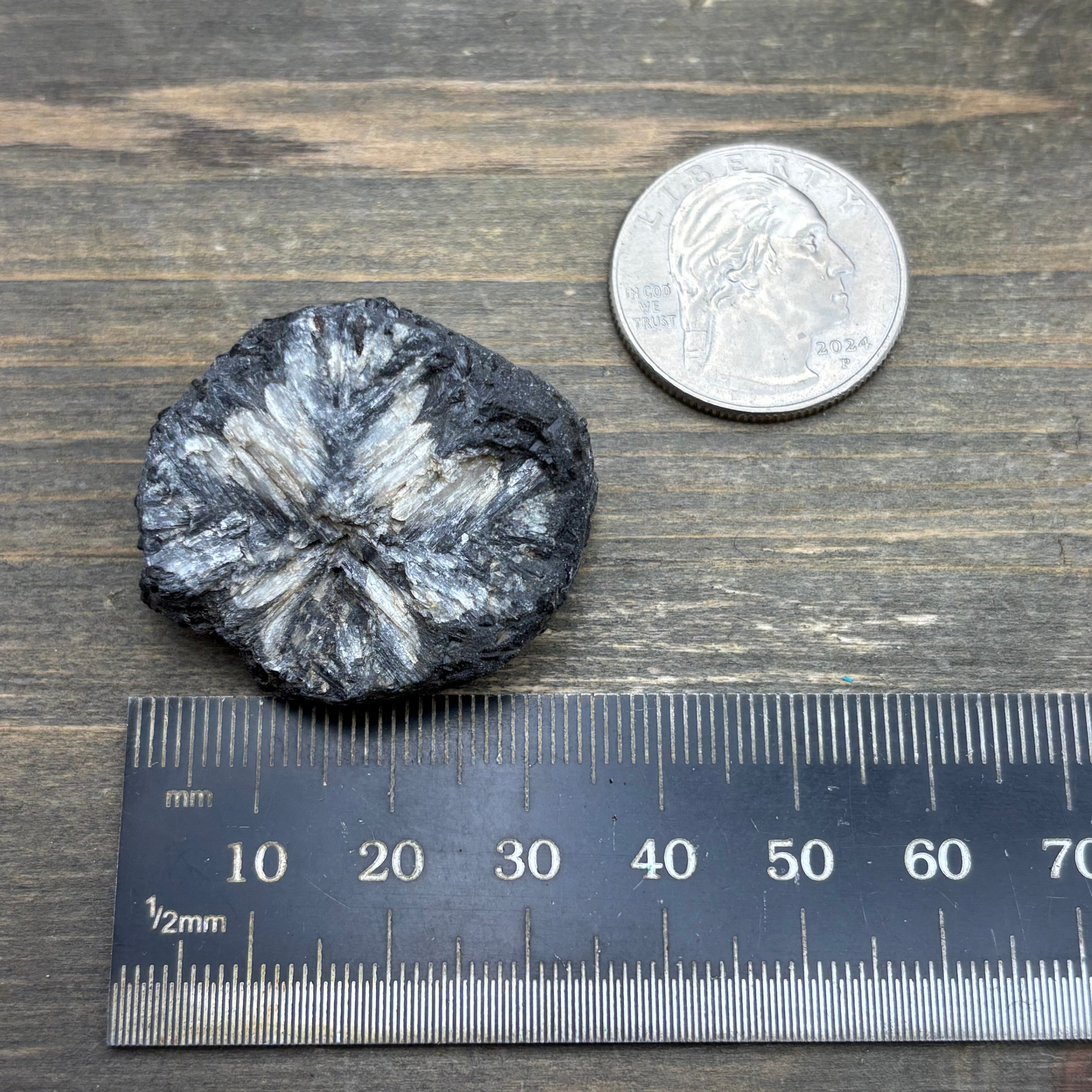 Siberian Chiastolite - 003