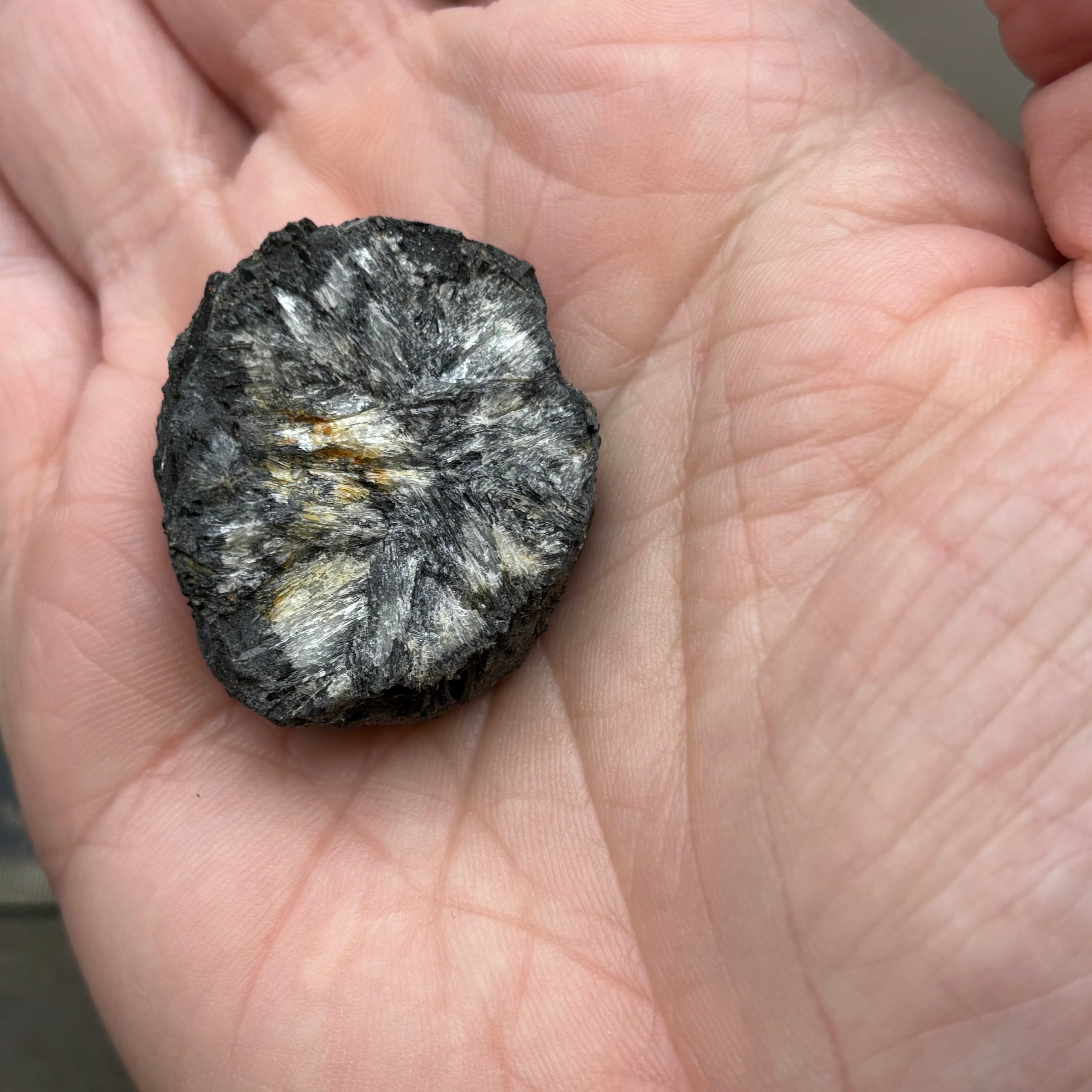 Siberian Chiastolite - 003