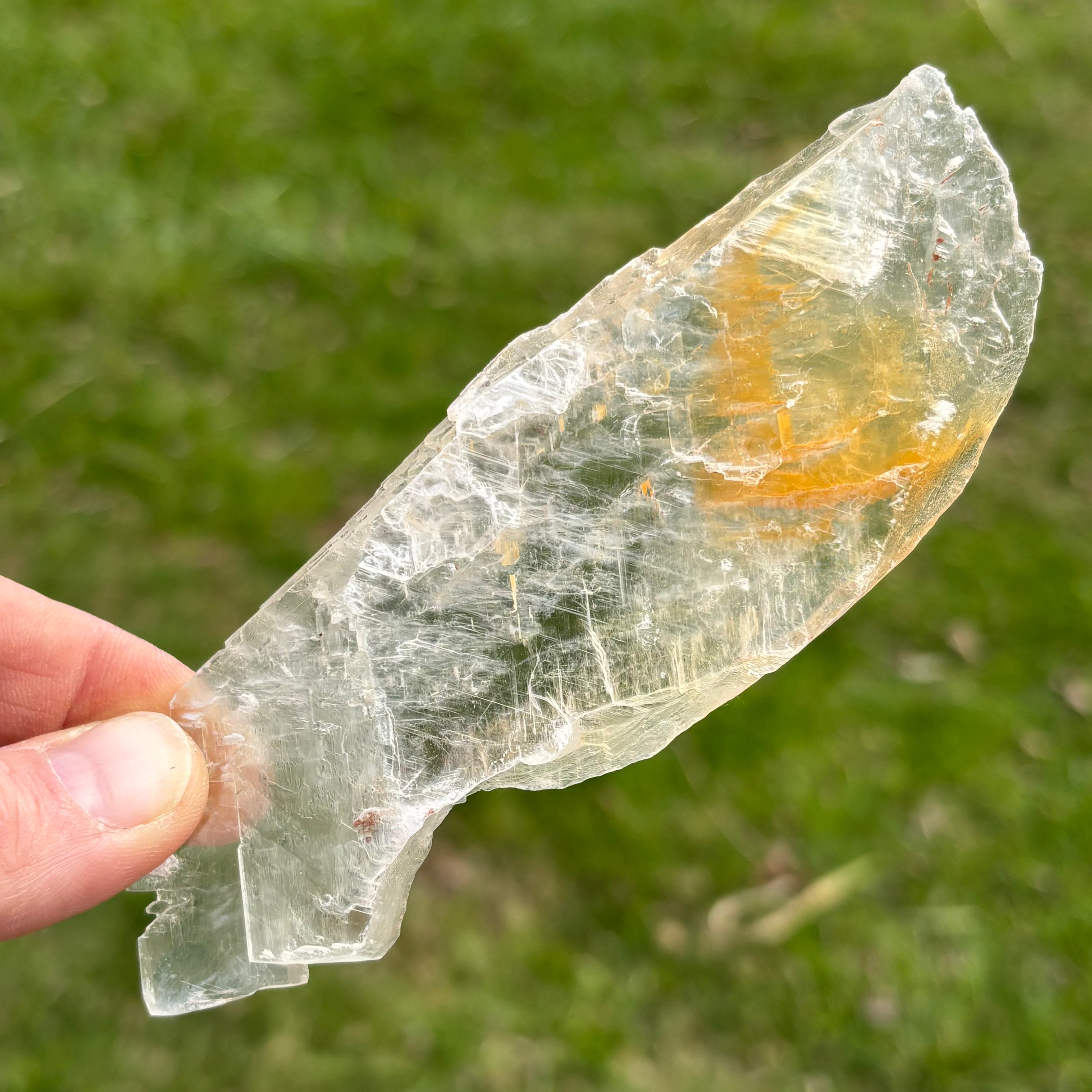 Golden Selenite Window - 653