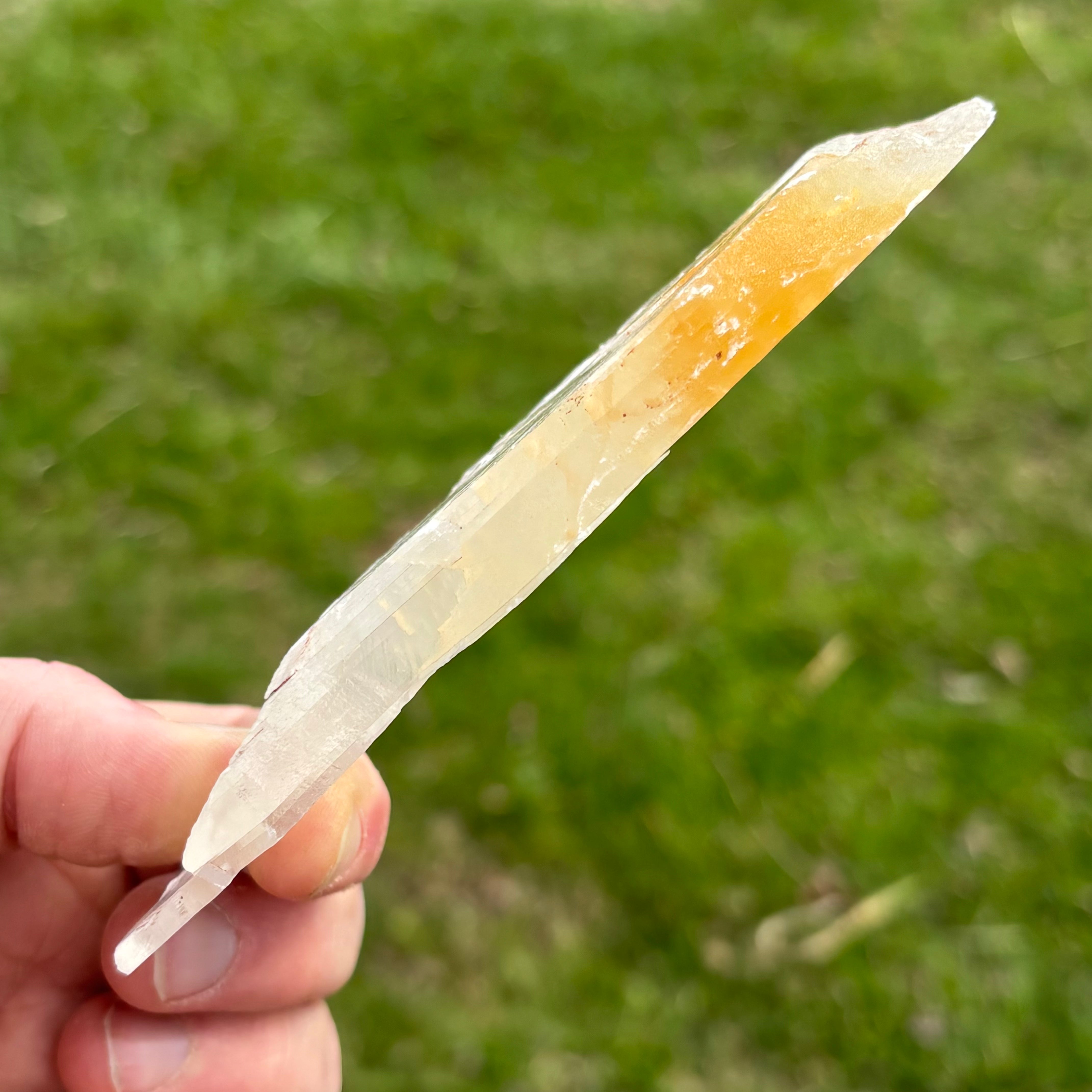 Golden Selenite Window - 653
